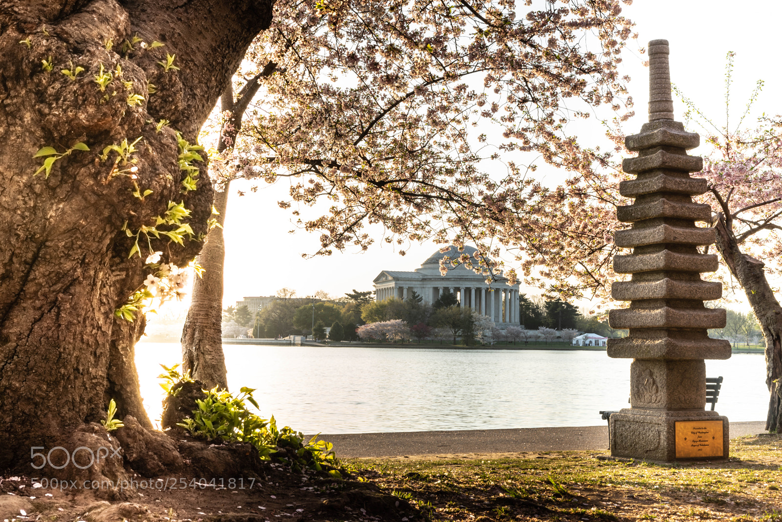 Sony a7R sample photo. Thomas jefferson memorial photography