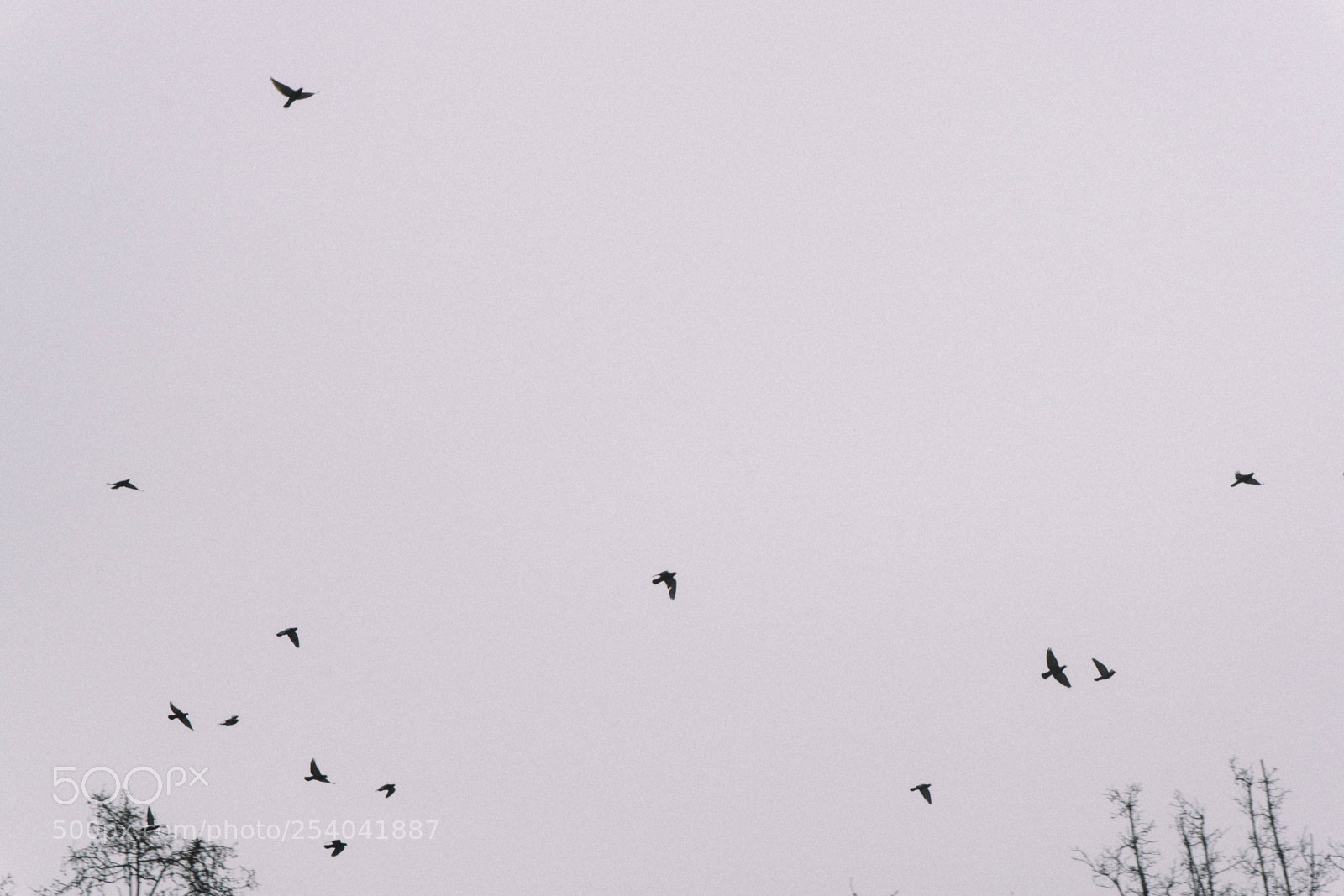 Sony a6000 sample photo. Dsc photography