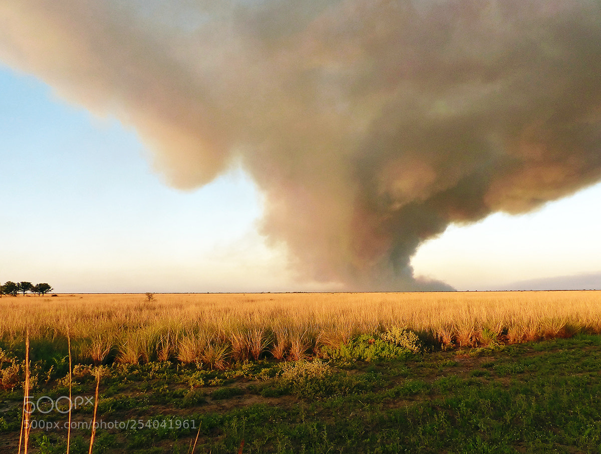 Panasonic Lumix DMC-FZ200 sample photo. Incendio en el espartal... photography