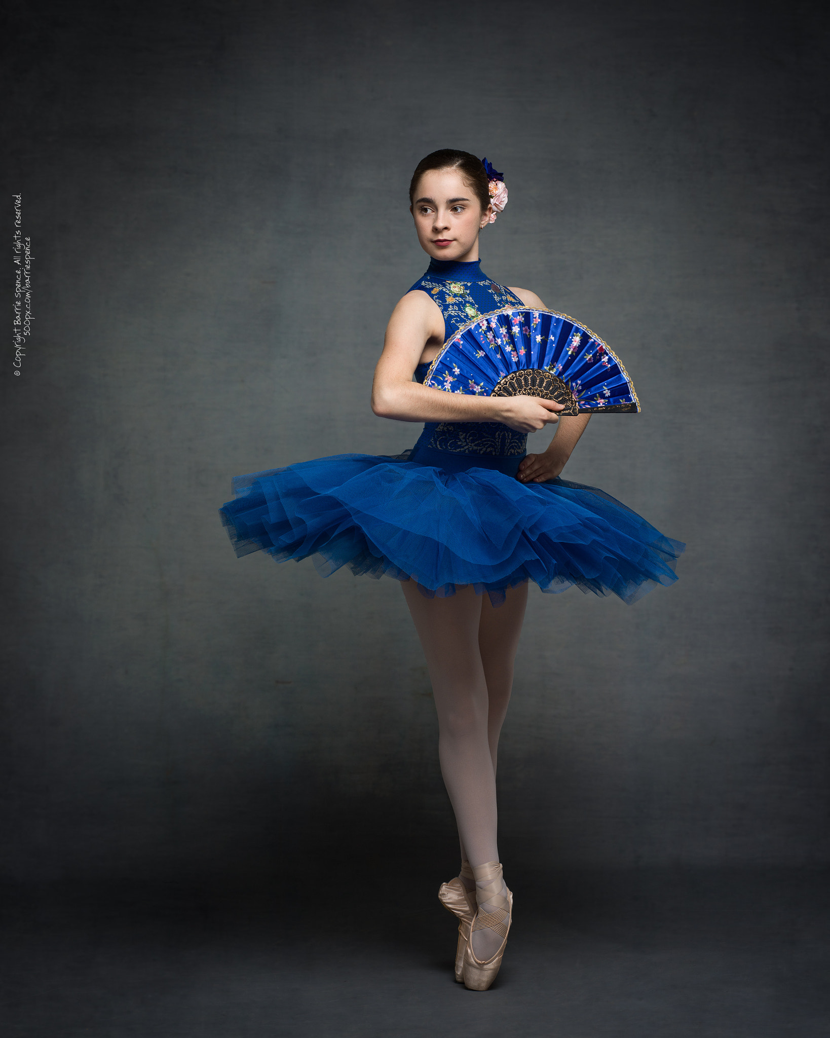 Hasselblad H6D-50C sample photo. Robyn mckie photography