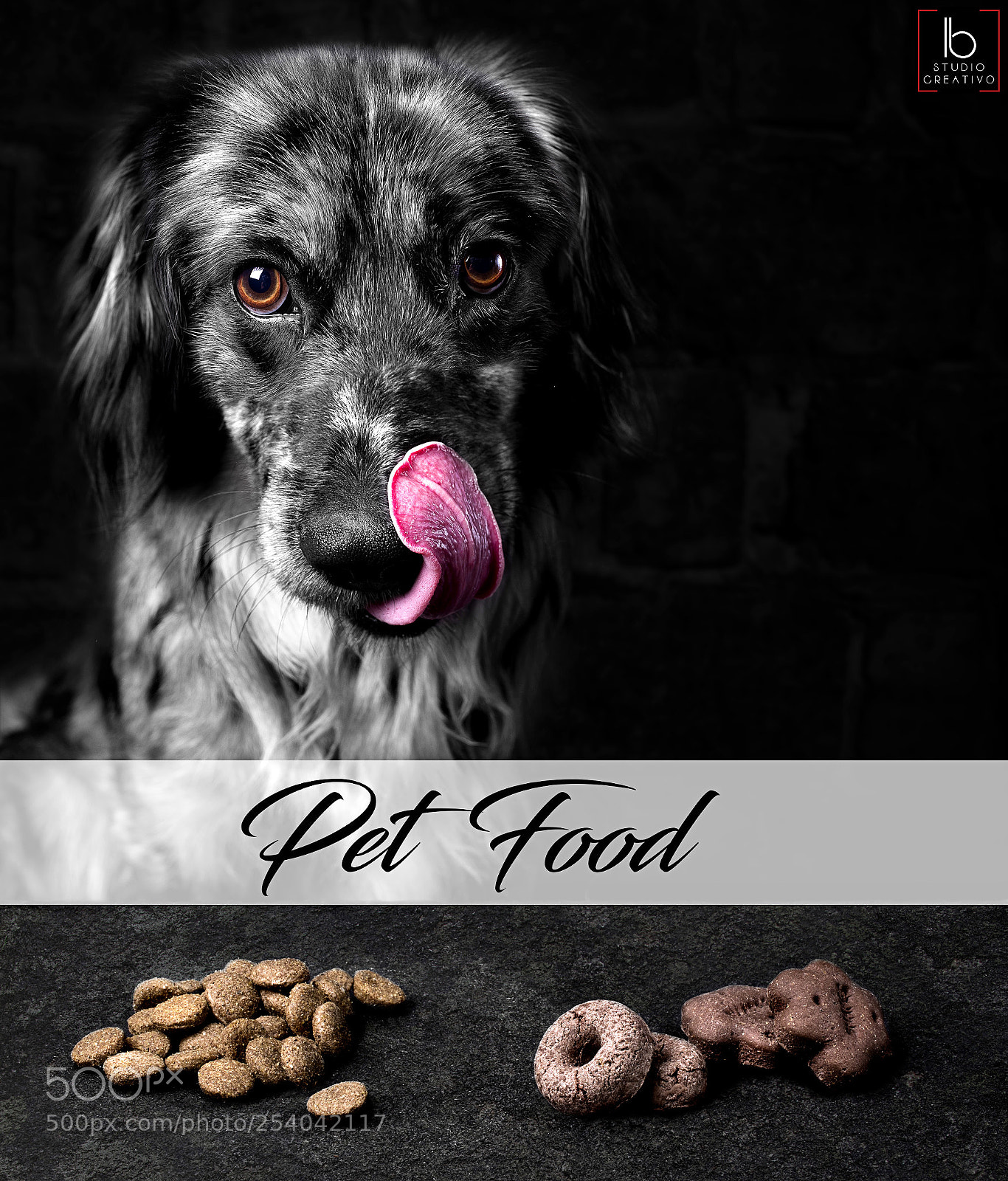 Pentax K-1 sample photo. Pet food photography