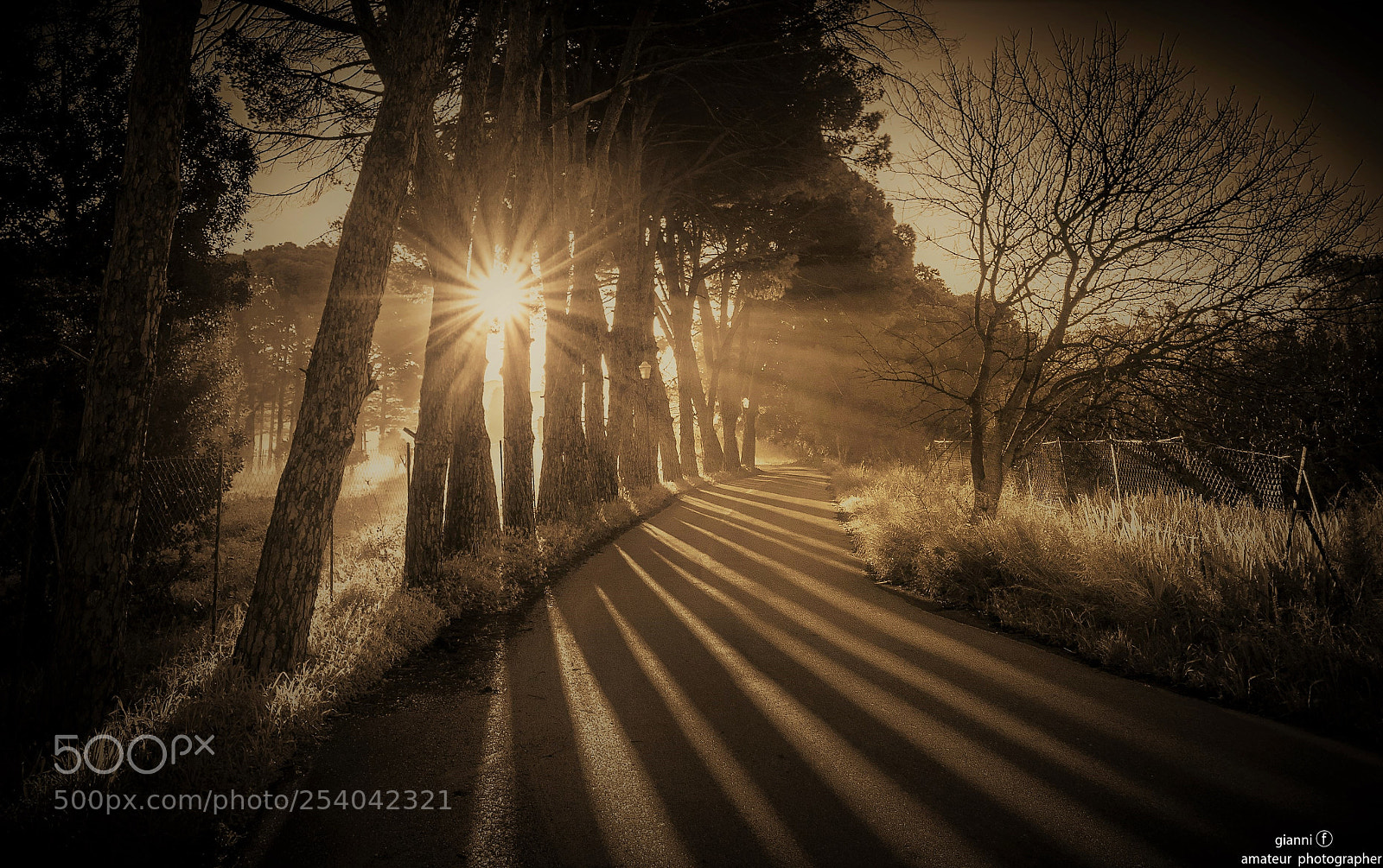 Nikon D7200 sample photo. Morning shadows !!! photography
