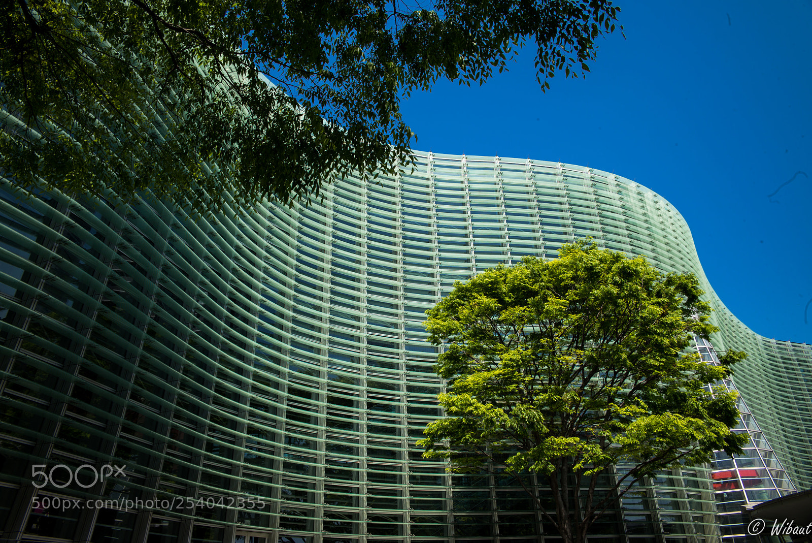 Leica M (Typ 240) sample photo. National art center tokyo photography
