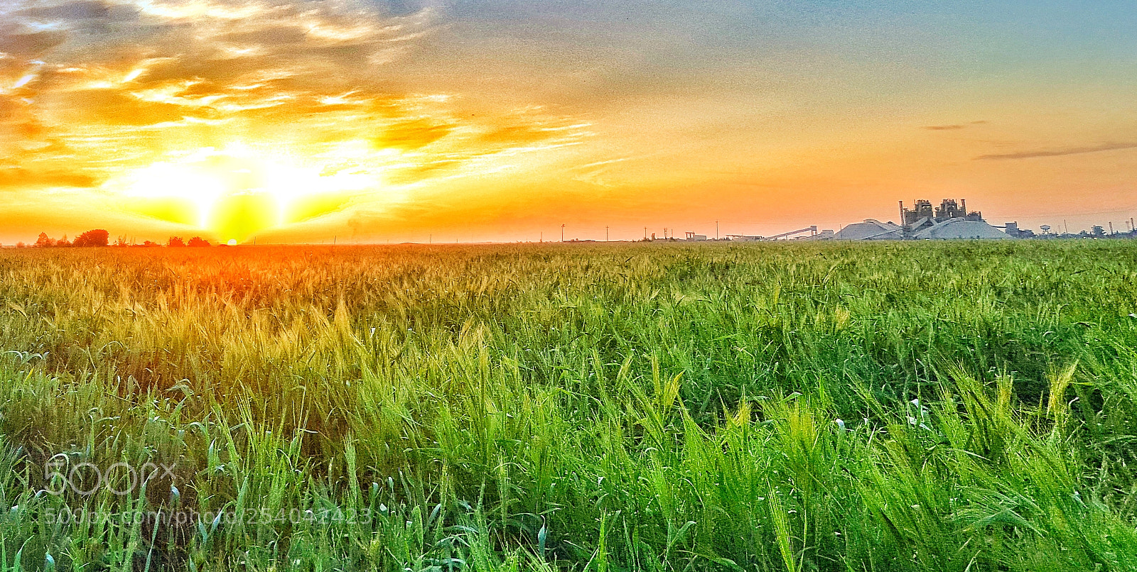 Samsung GALAXY S6 edge sample photo. Evening from kirkuk photography