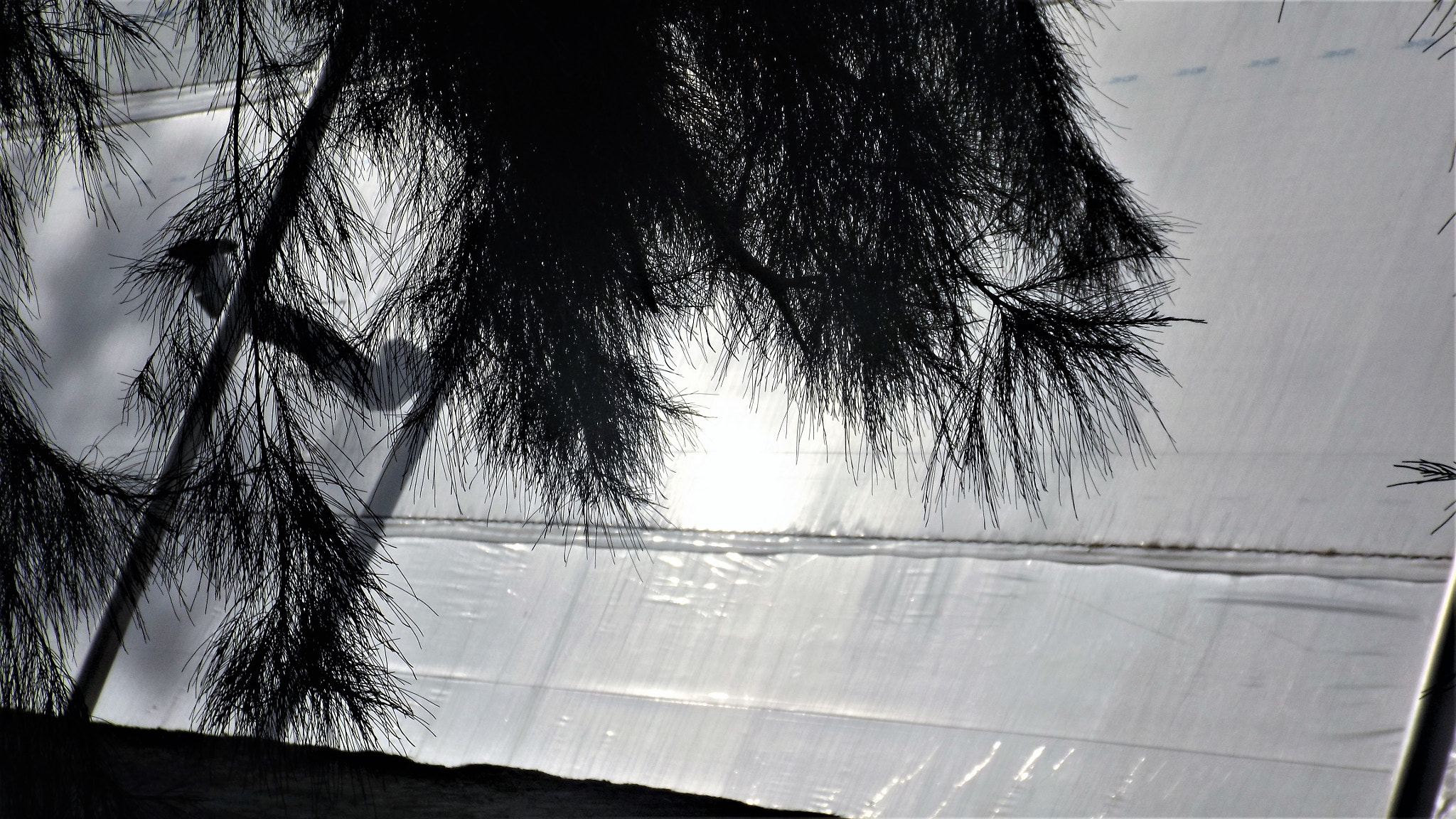 Fujifilm FinePix S4800 sample photo. Sunlight reflection on a greenhouse photography