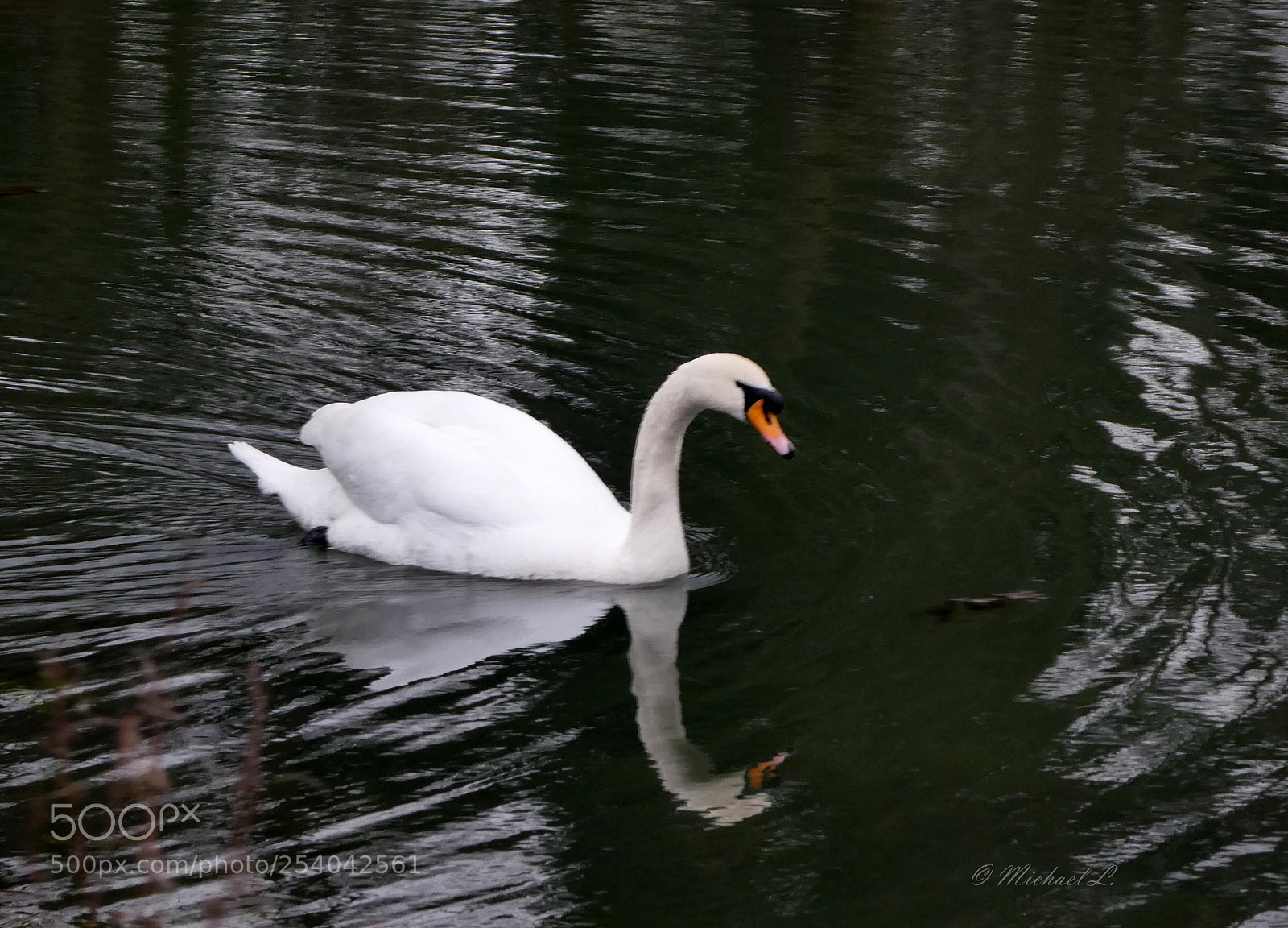 Panasonic DMC-TZ81 sample photo. Floating,, photography