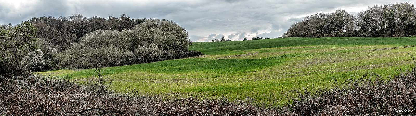 Fujifilm X100T sample photo. Arradon - bretagne photography