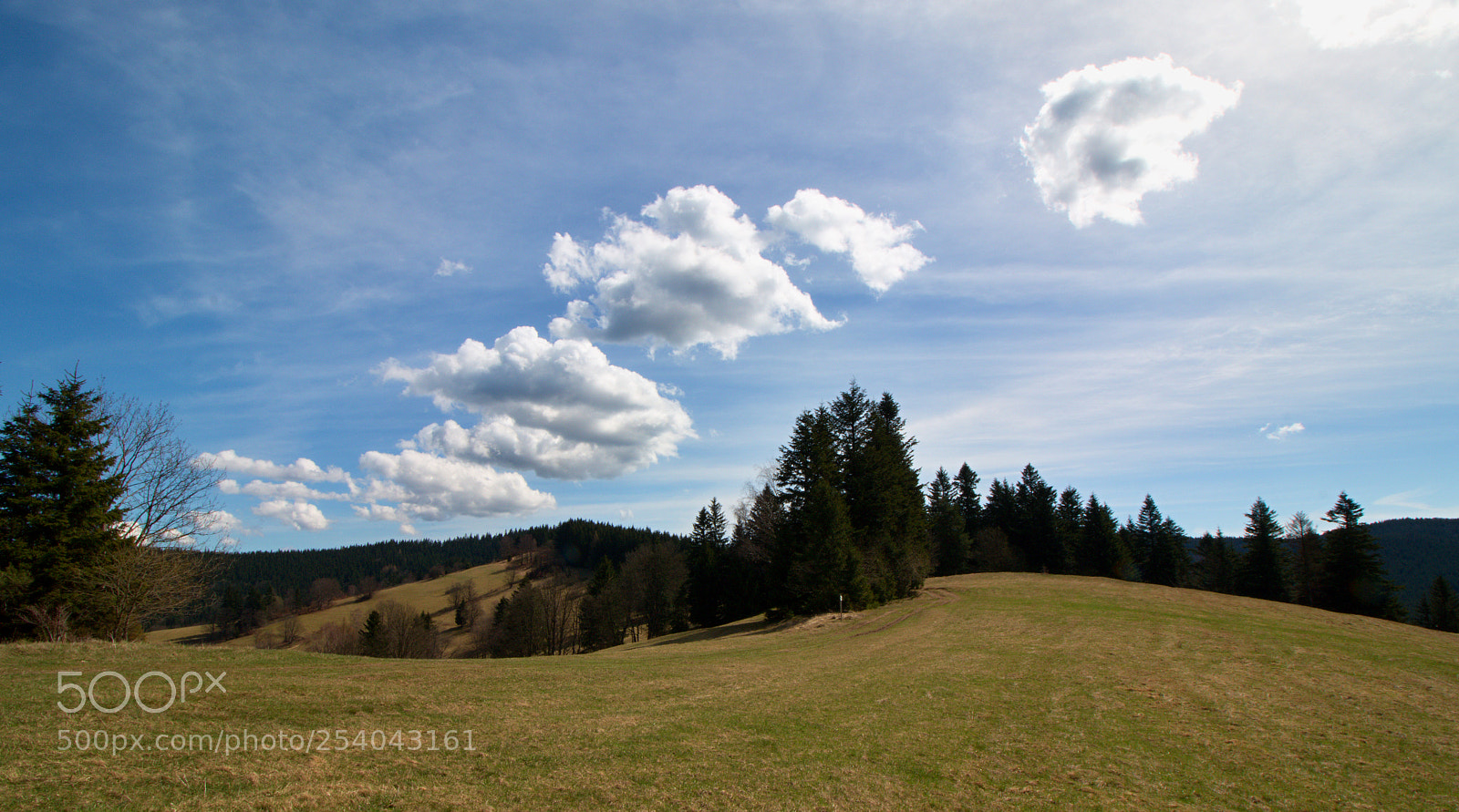 Canon EOS 70D sample photo. Beskydy (javorníky) photography