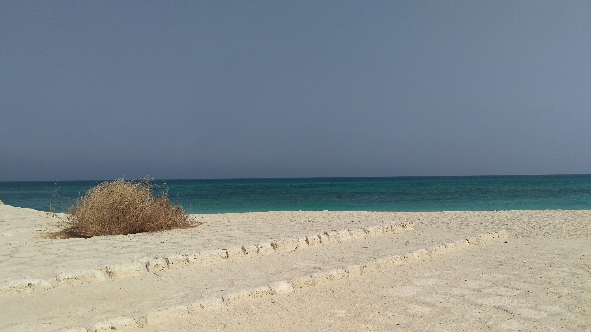 HTC ONE M9 sample photo. The silent watcher photography