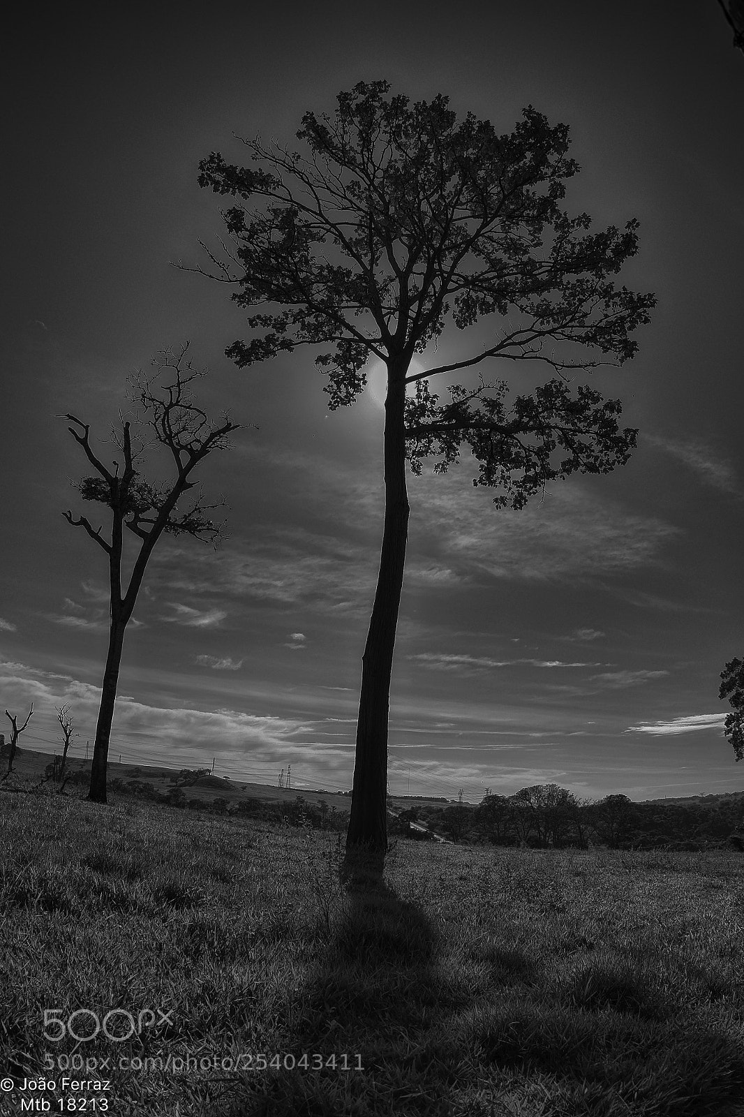 Fujifilm X-T1 sample photo. The sun...in black white photography