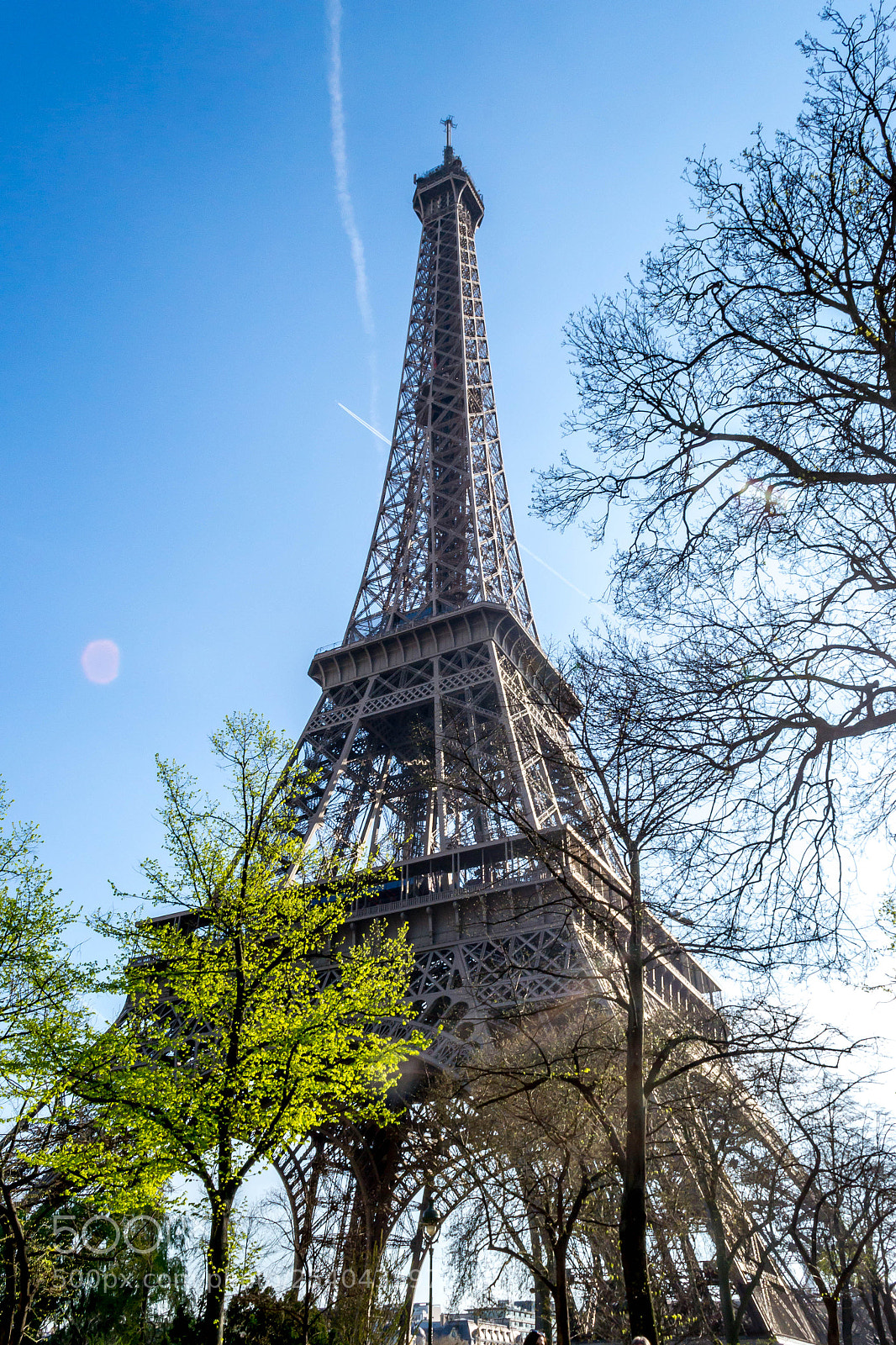 Nikon D3100 sample photo. Eiffel tower photography