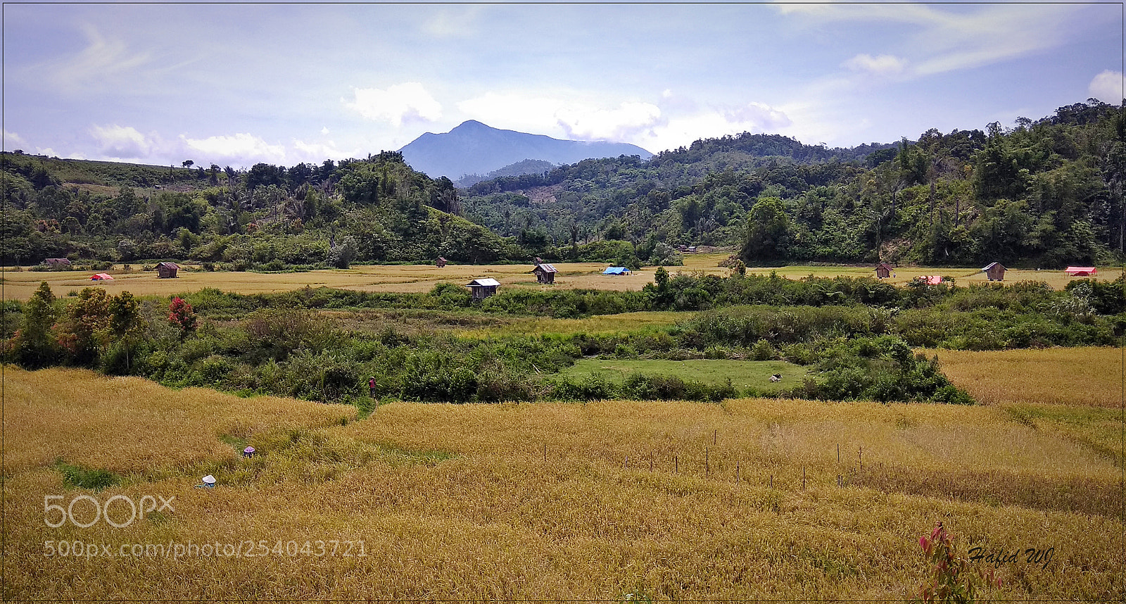Xiaomi Redmi Note 4X sample photo. Panorama bentang alam jangkat photography