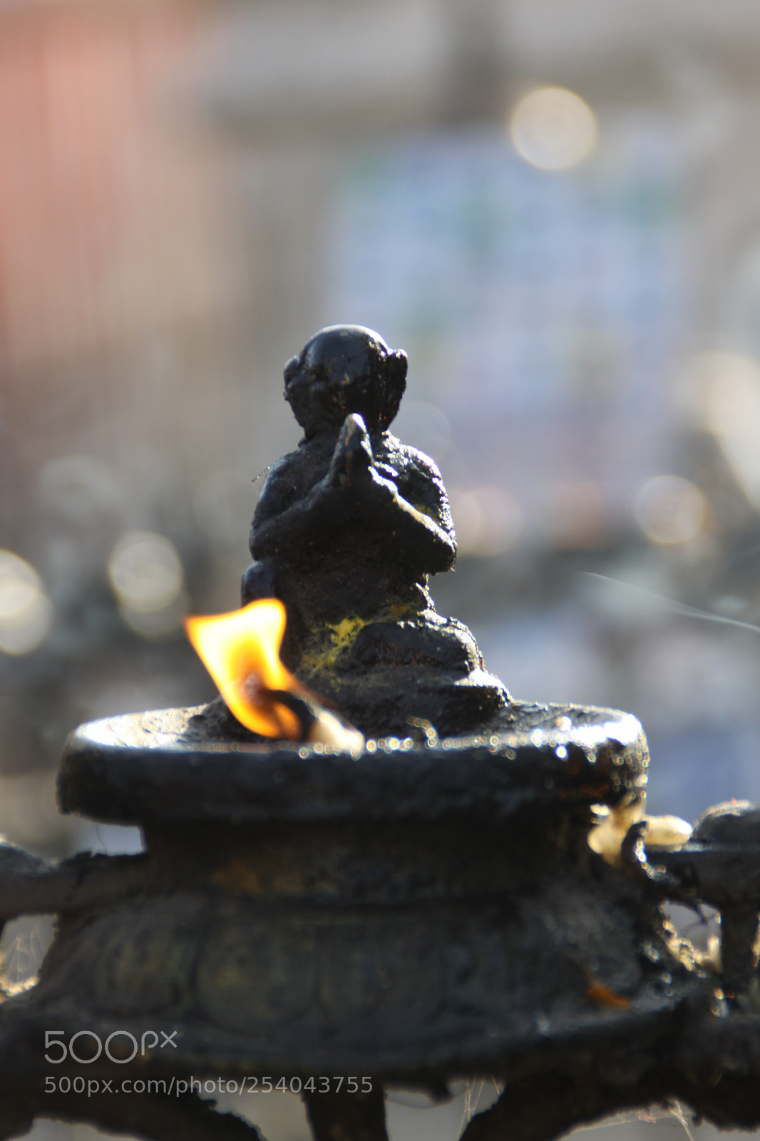 Canon EOS 50D sample photo. Untitled photography