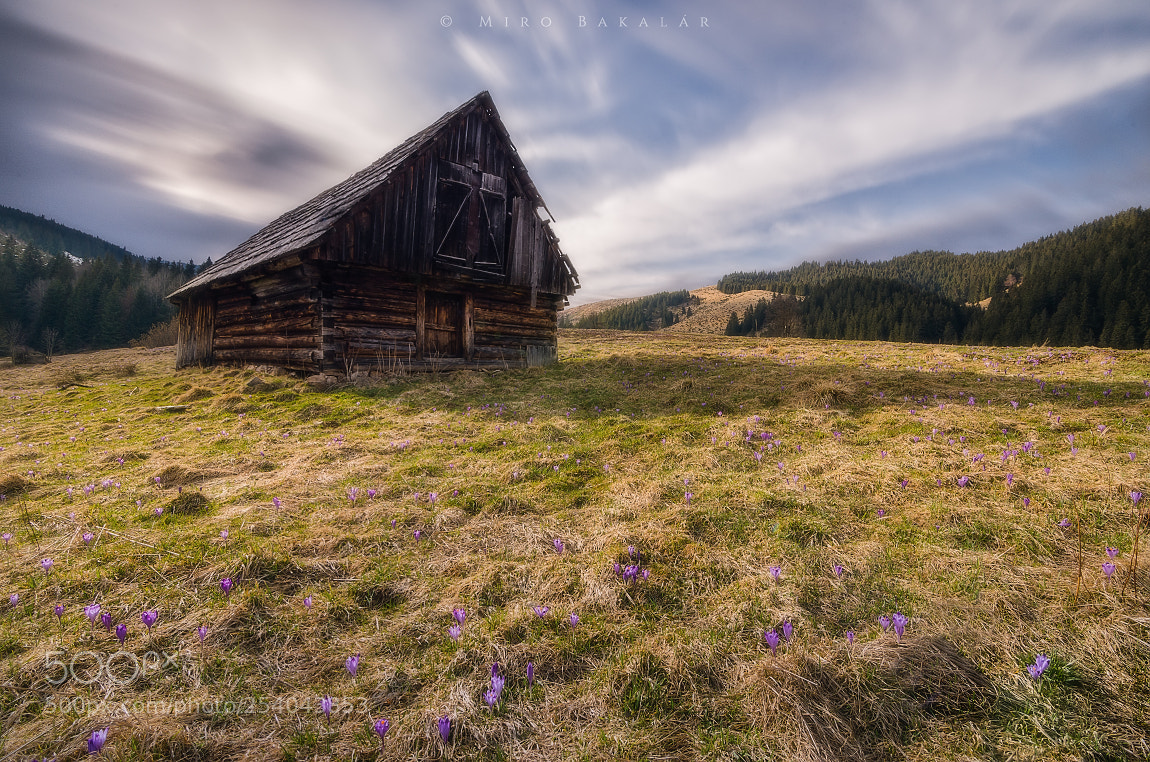 Nikon D7000 sample photo. (abandoned hut) photography