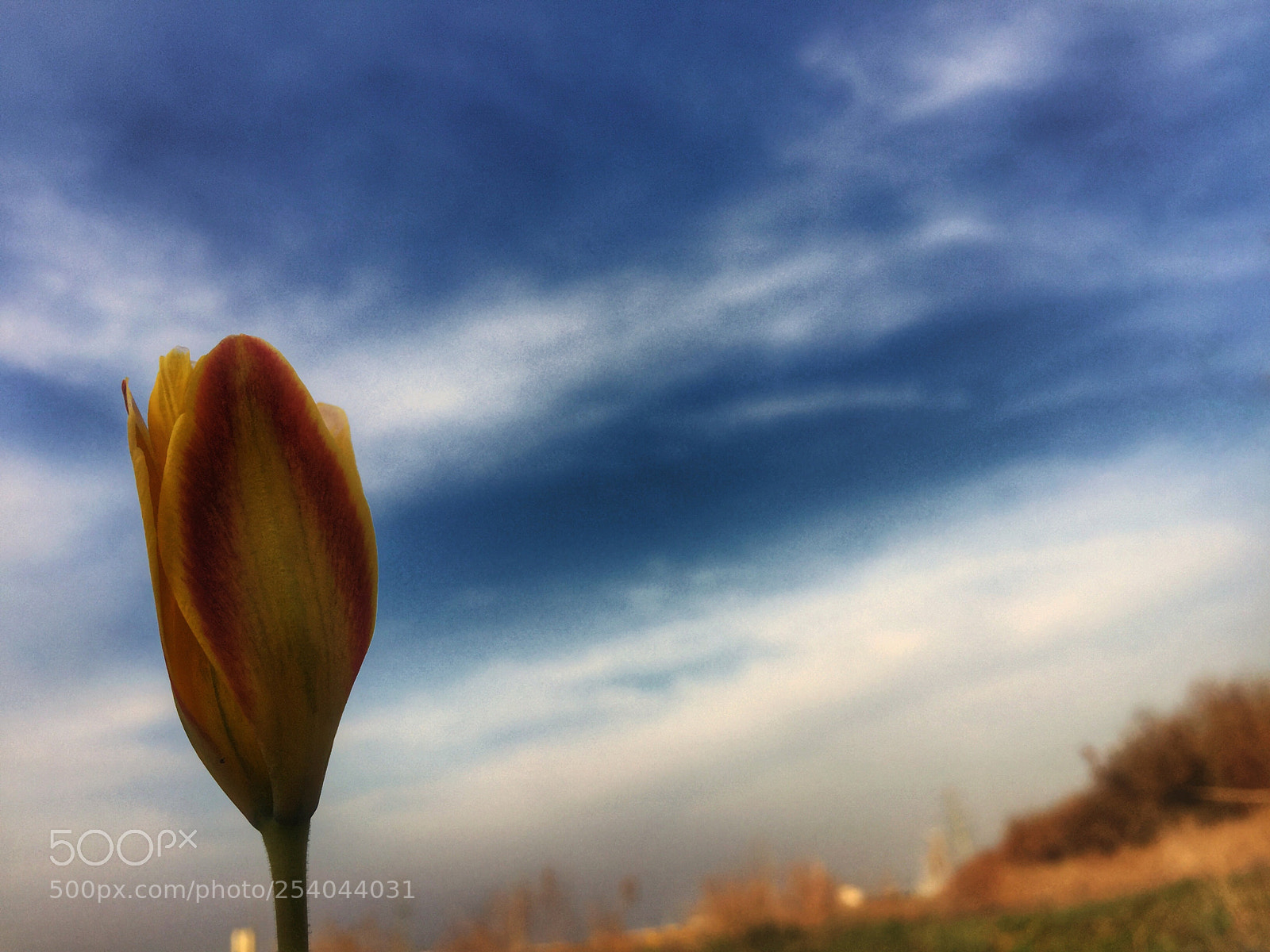 Apple iPhone 6 Plus sample photo. Untitled photography