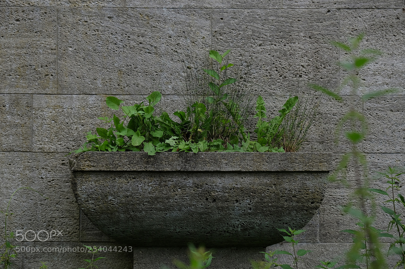 Fujifilm X-T10 sample photo. 1142.jpg photography