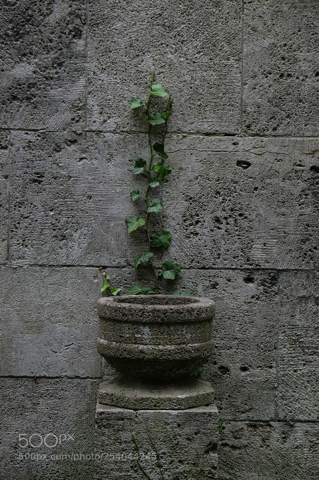 Fujifilm X-T10 sample photo. 1139.jpg photography