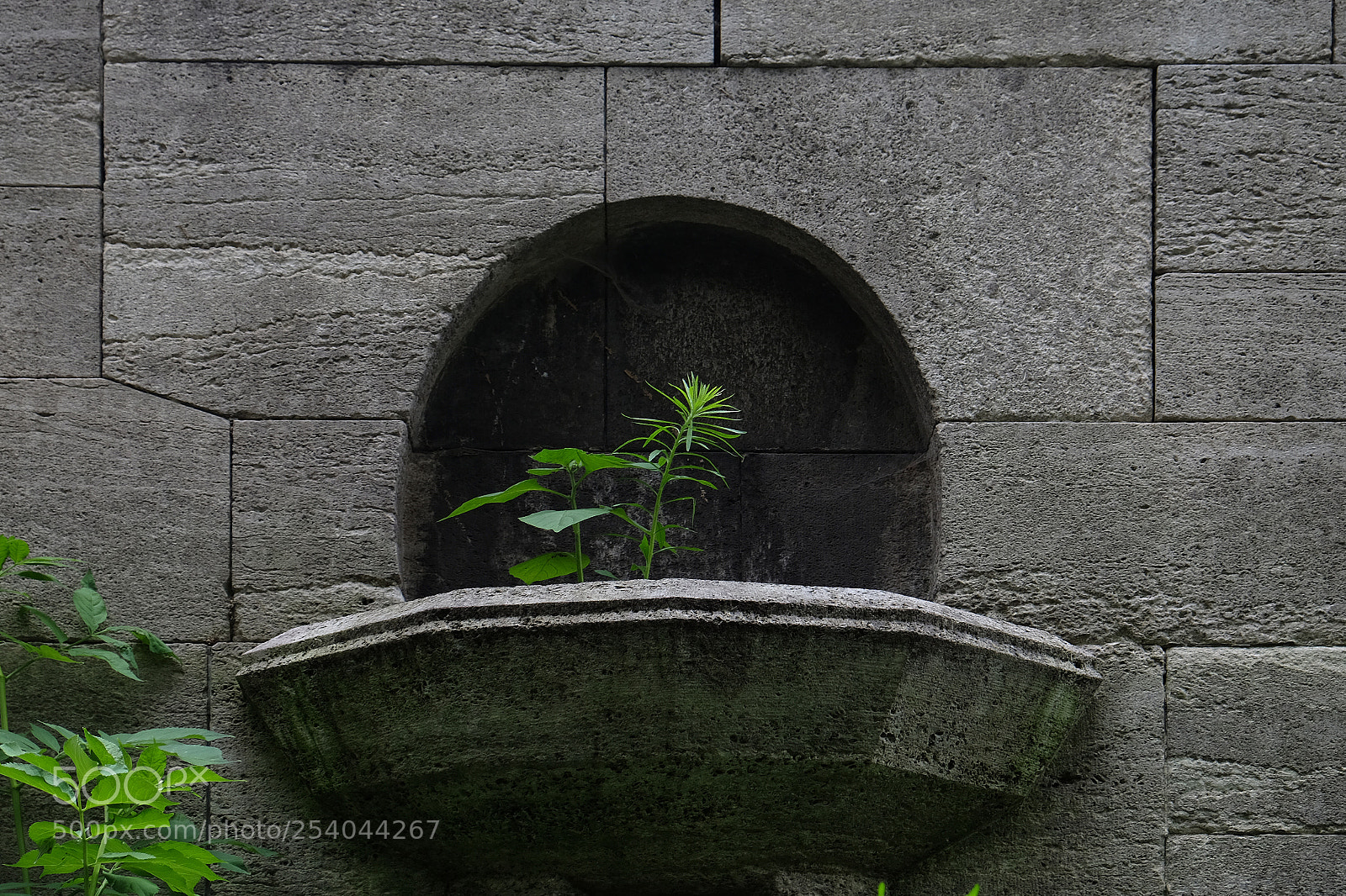 Fujifilm X-T10 sample photo. 1144.jpg photography