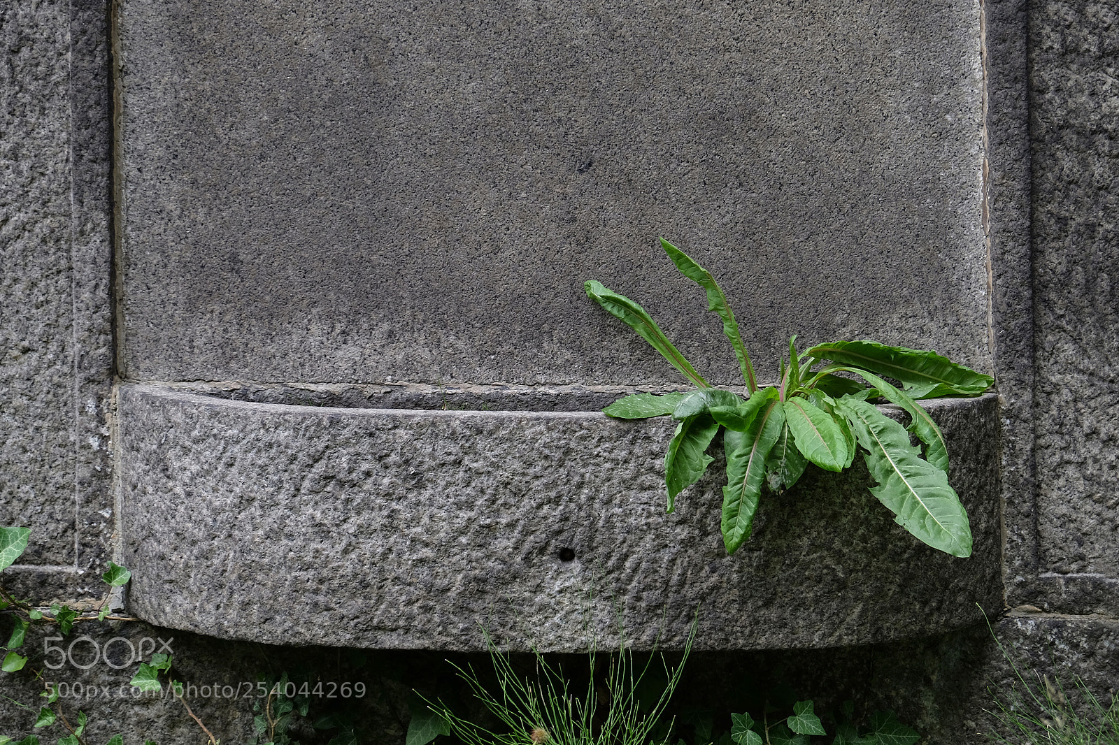 Fujifilm X-T10 sample photo. 1145.jpg photography