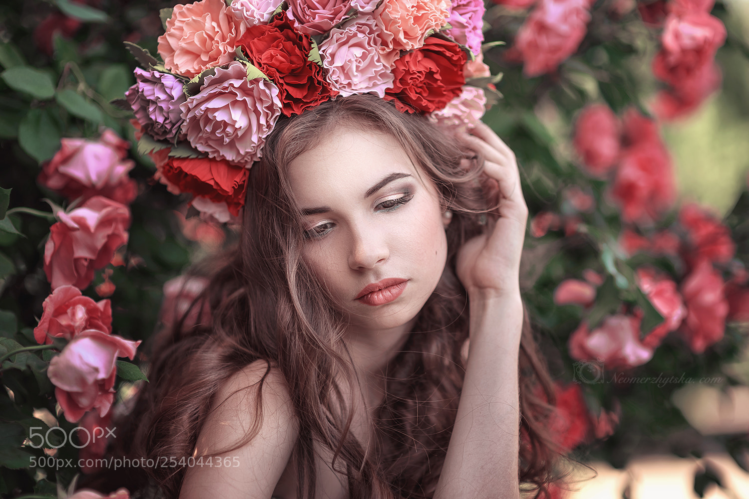 Nikon D610 sample photo. Wild wild rose photography