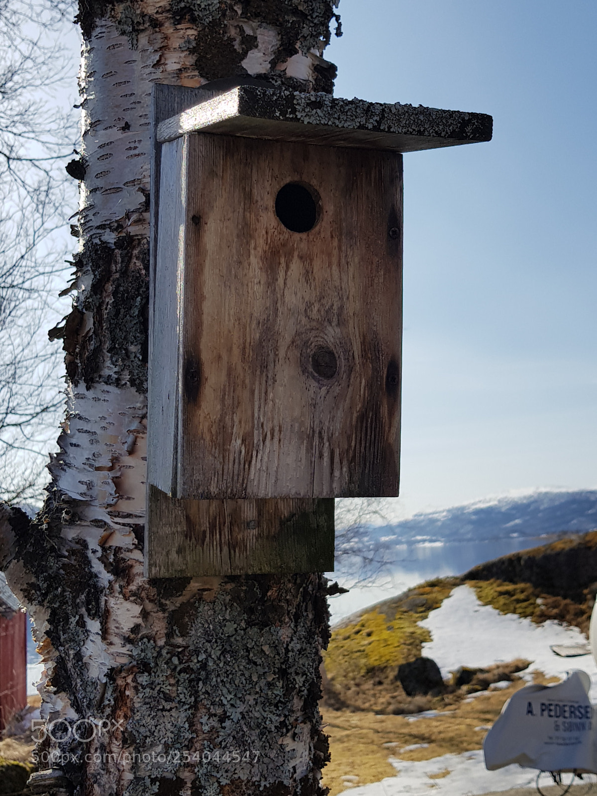 Samsung Galaxy S8 sample photo. Birdhouse photography