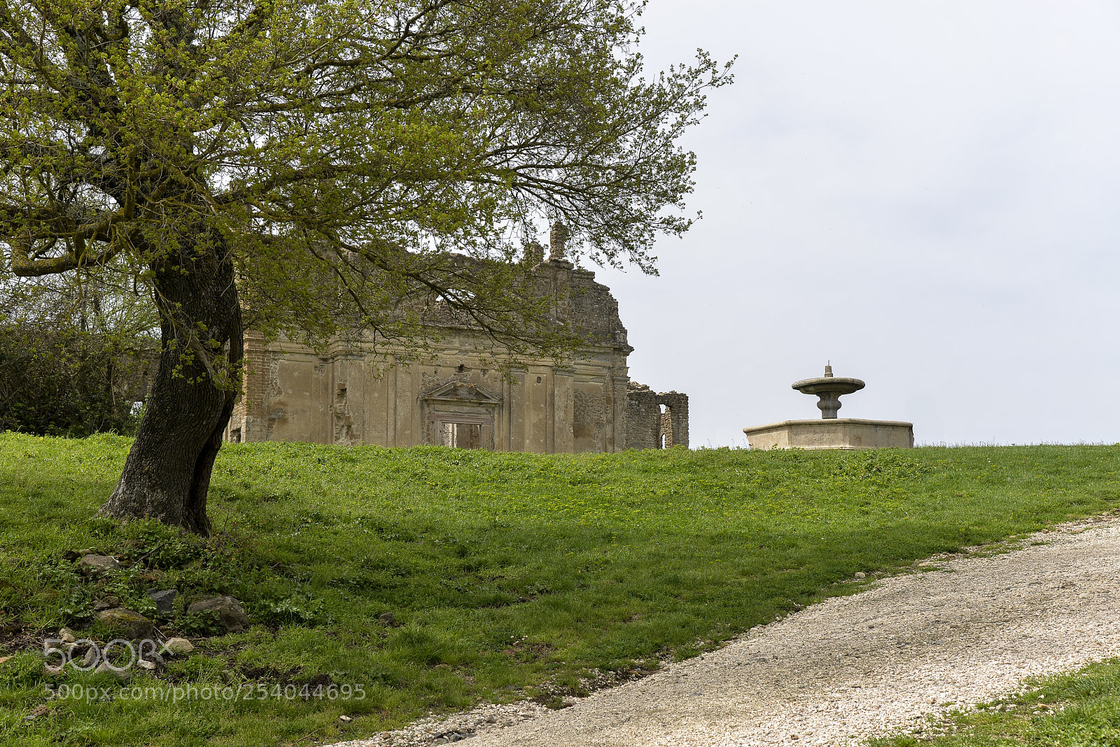 Nikon D610 sample photo. Monterano photography