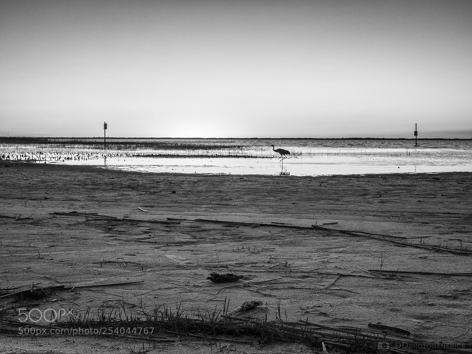 Olympus OM-D E-M10 II sample photo. Sunset mono photography