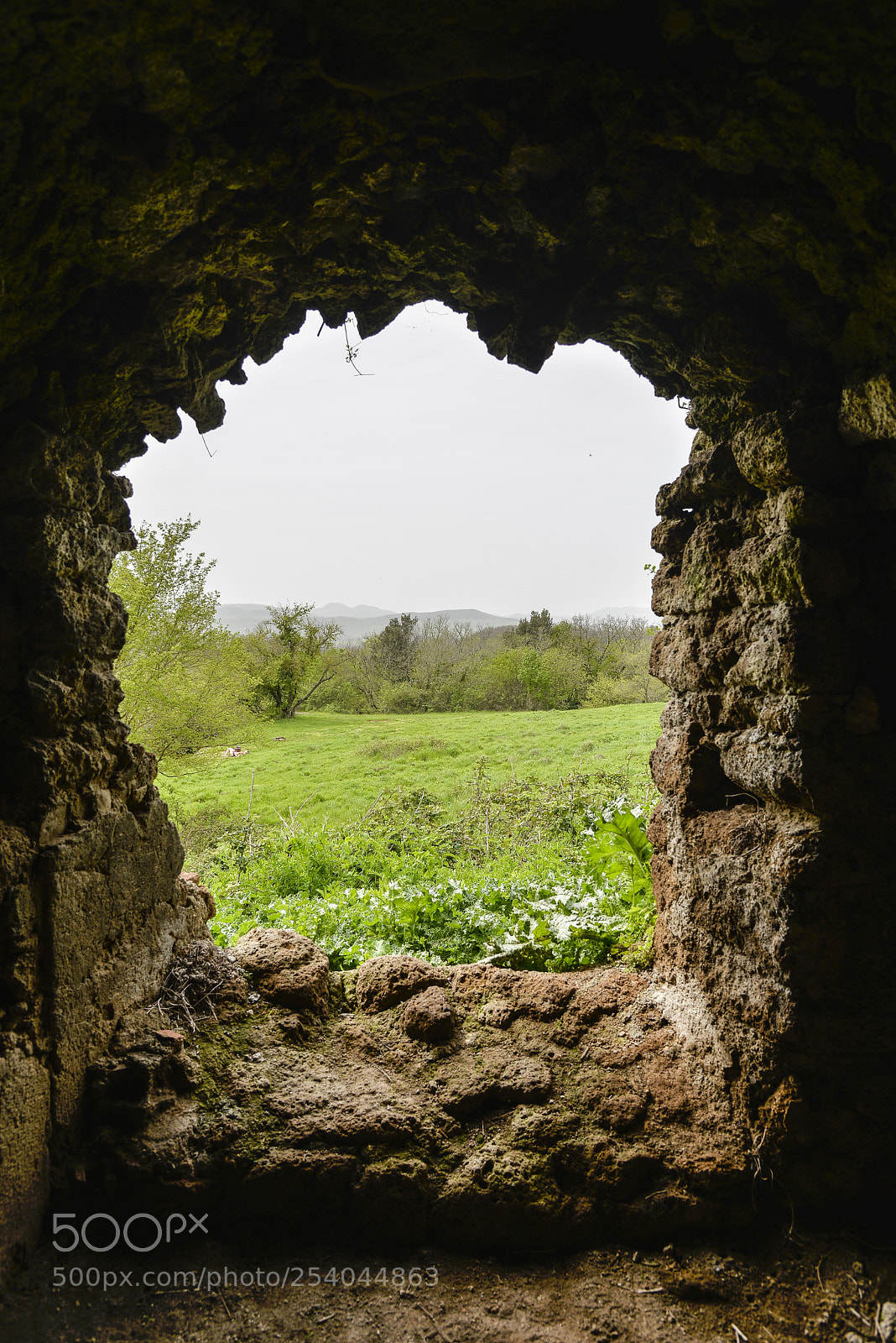 Nikon D610 sample photo. Window photography