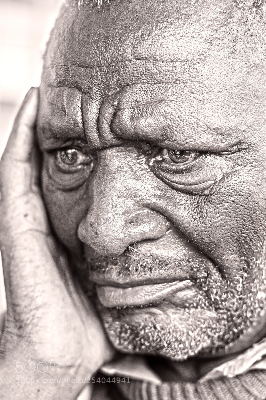 Canon EOS 70D sample photo. Deep thought photography