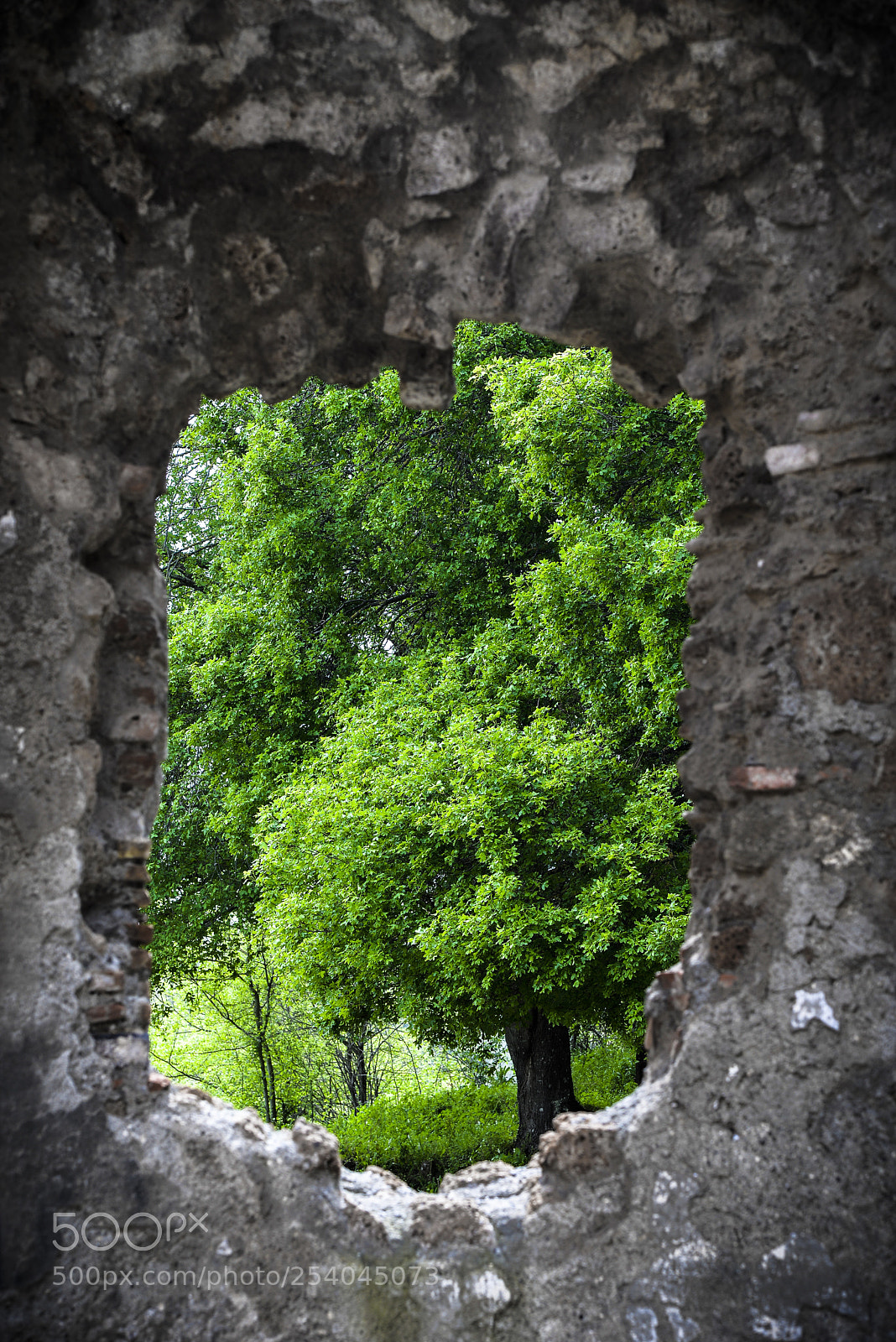 Nikon D610 sample photo. Hole photography
