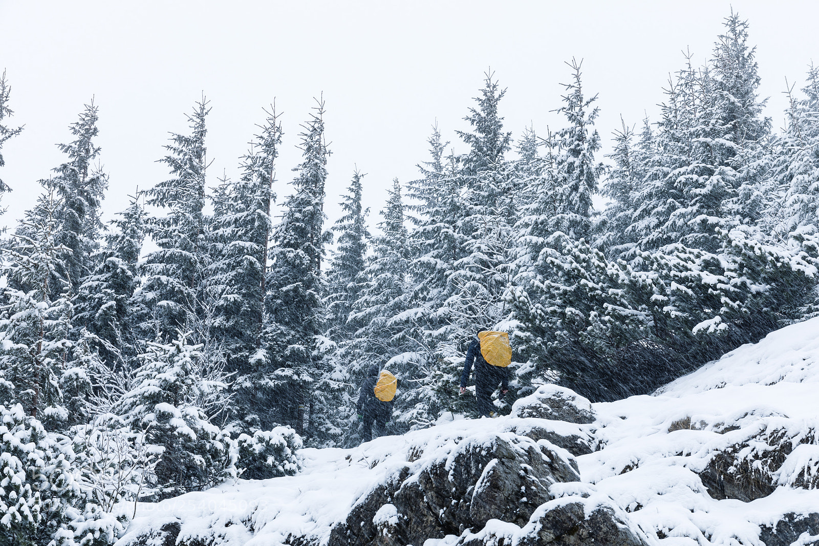 Canon EOS 5D Mark IV sample photo. Winter in the mountains photography