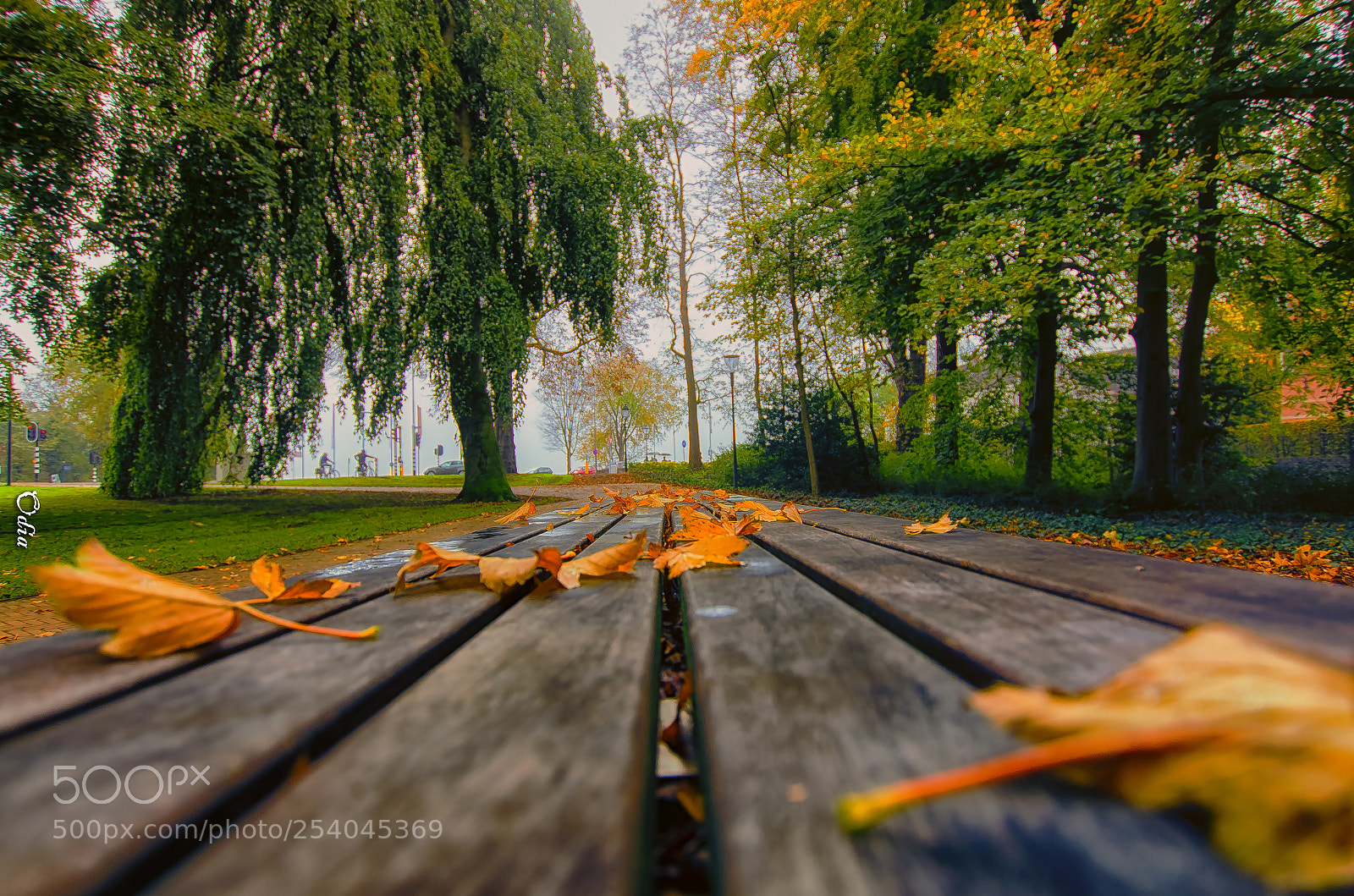 Nikon D5100 sample photo. Waiting bench photography