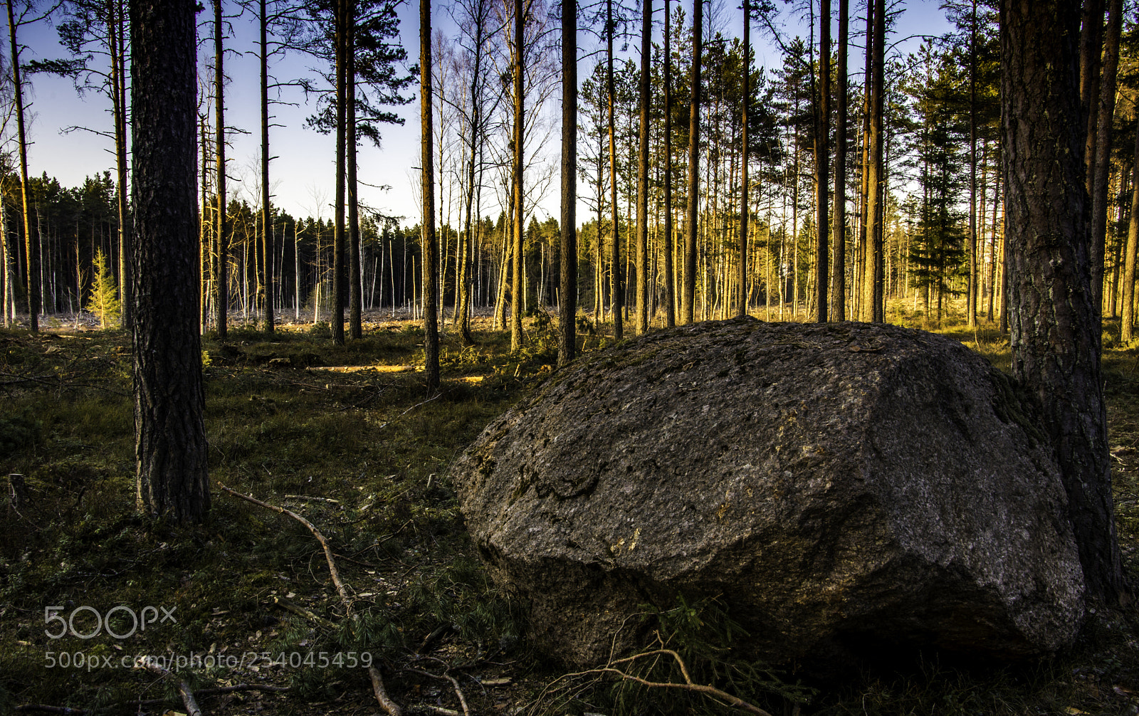 Nikon D7200 sample photo. Big rock. photography