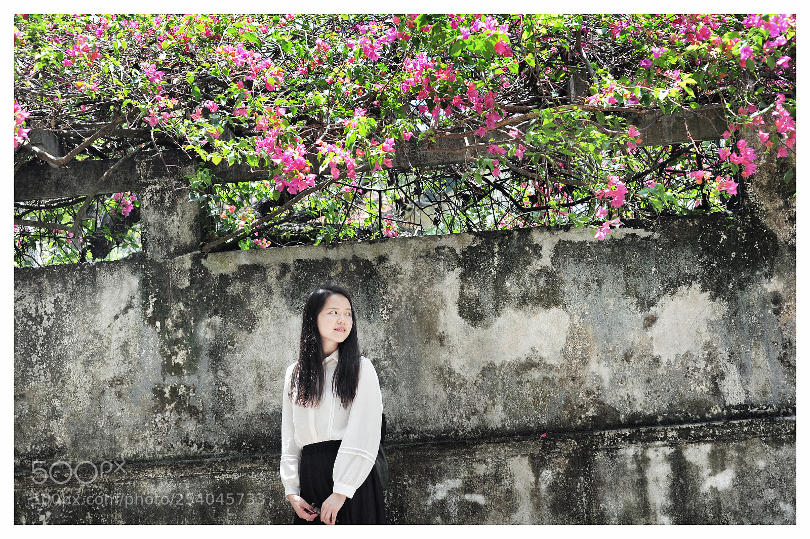 Nikon D700 sample photo. Sunny photography