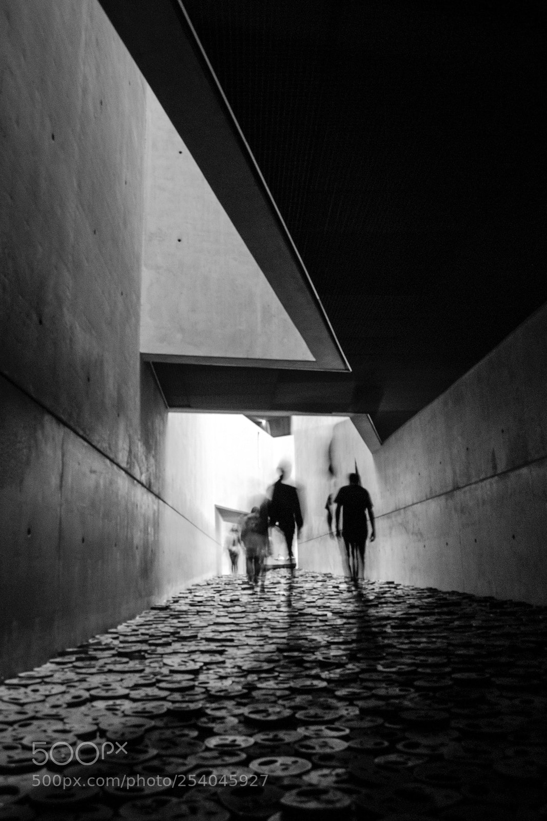 Nikon D3000 sample photo. Untitled photography