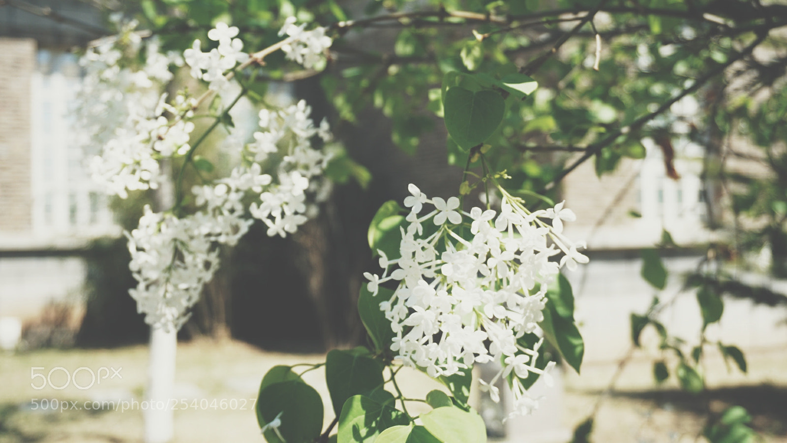 Sony a6000 sample photo. Untitled photography