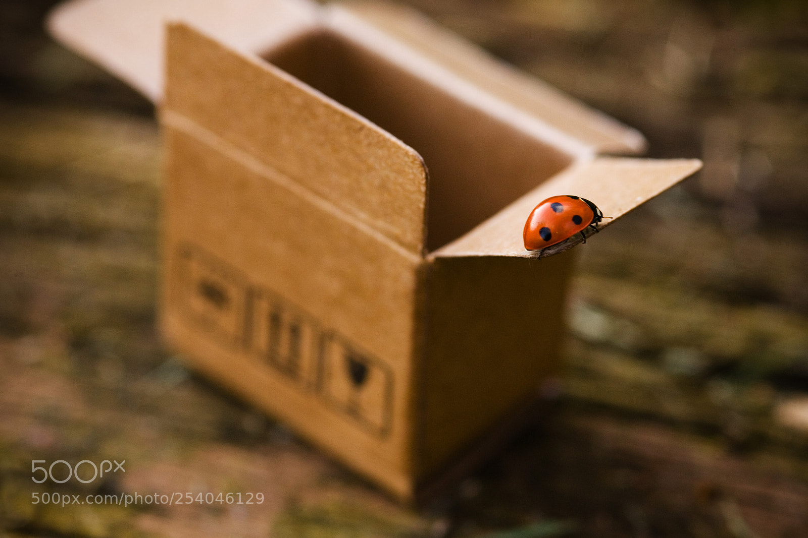 Canon EOS 5D sample photo. Delivery photography