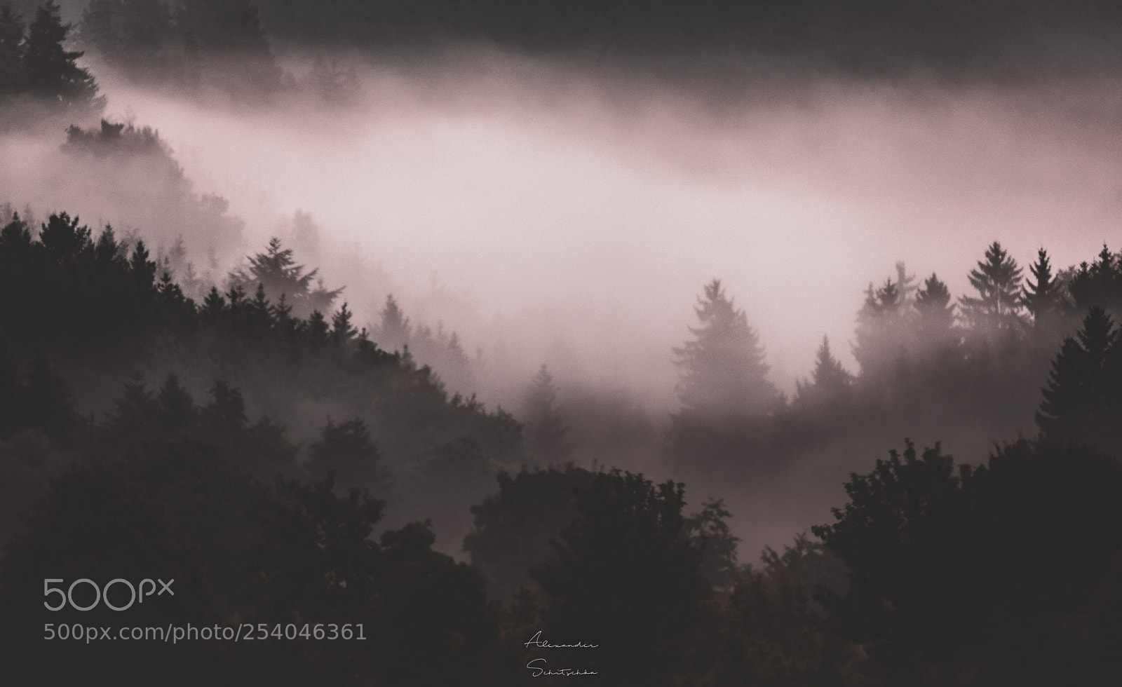 Canon EOS 5D Mark II sample photo. Dark foggy morning photography