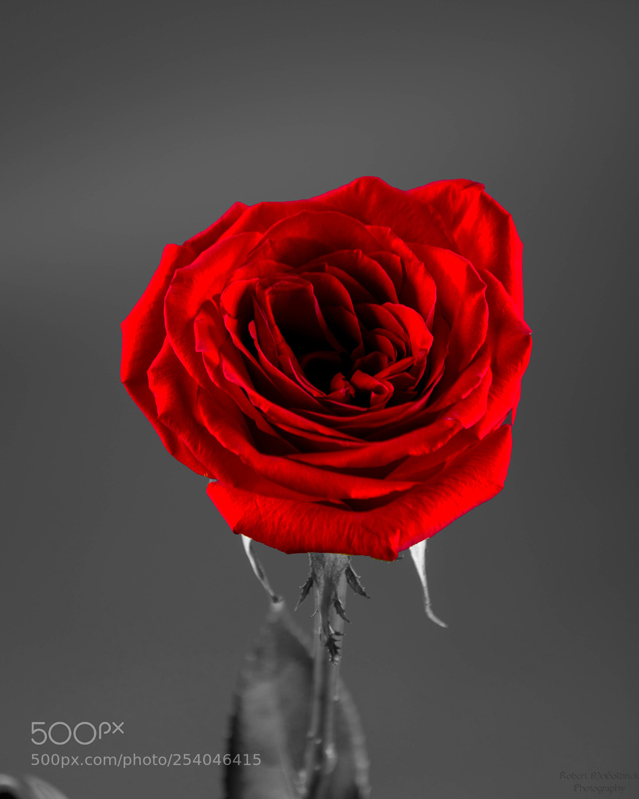 Nikon D3400 sample photo. Unknown love black and photography
