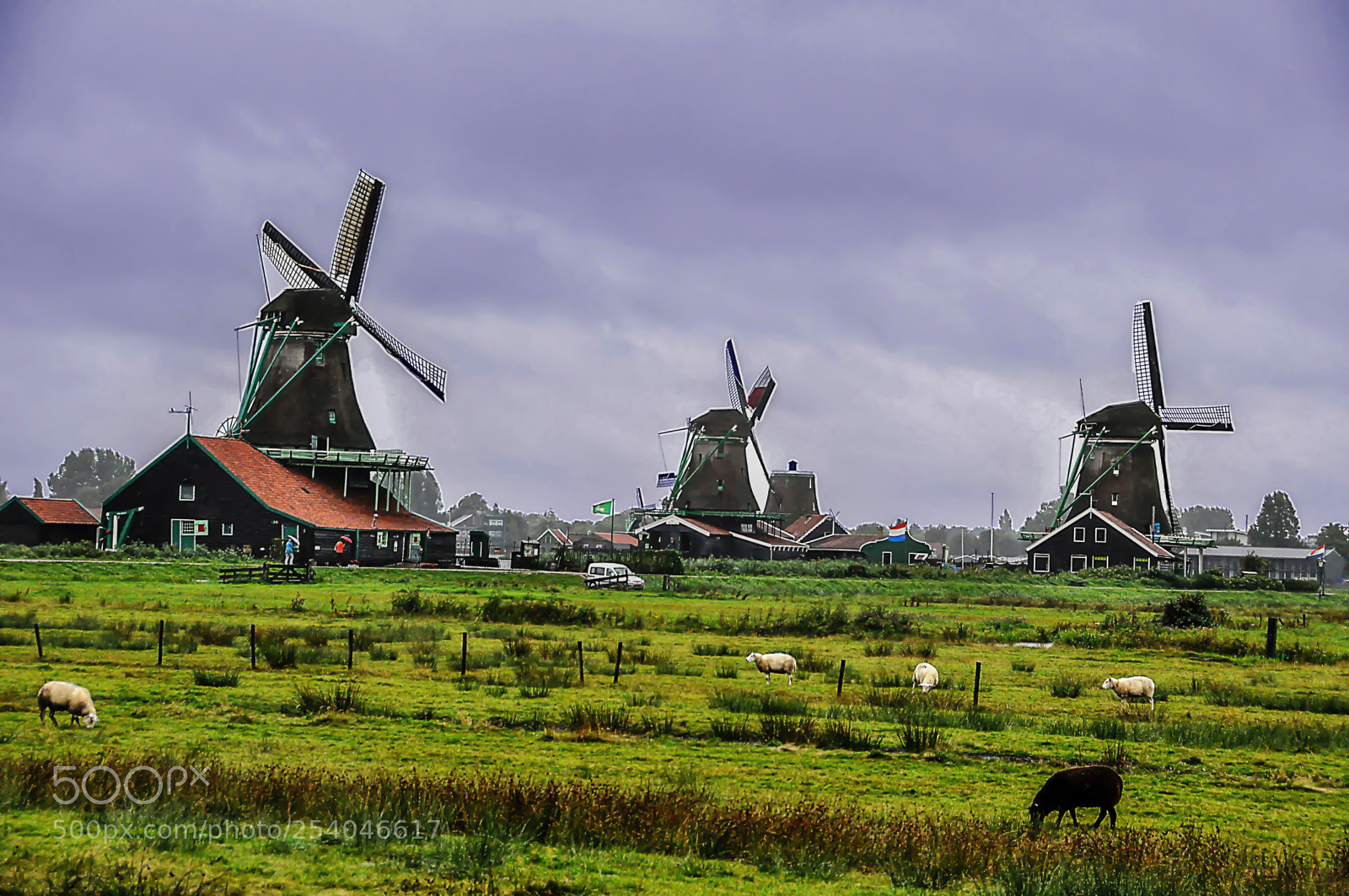 Nikon D90 sample photo. Zaanse schans photography