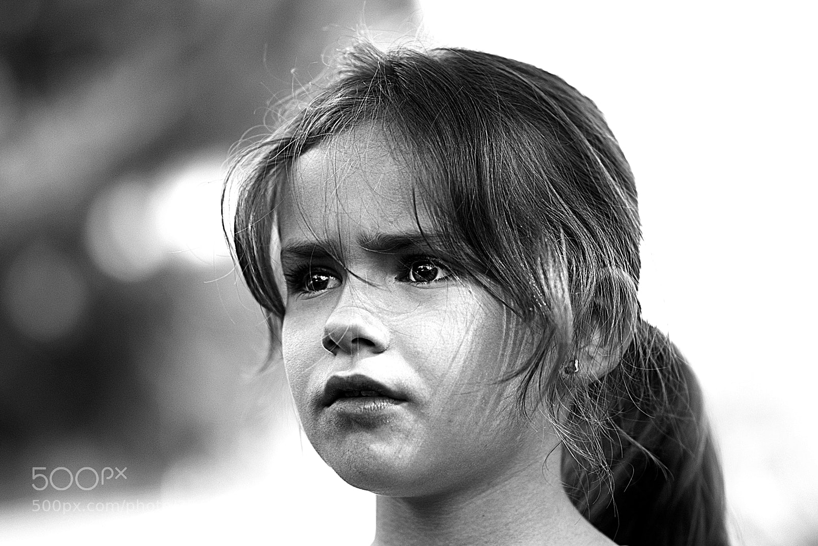 Nikon D5300 sample photo. L o v e photography