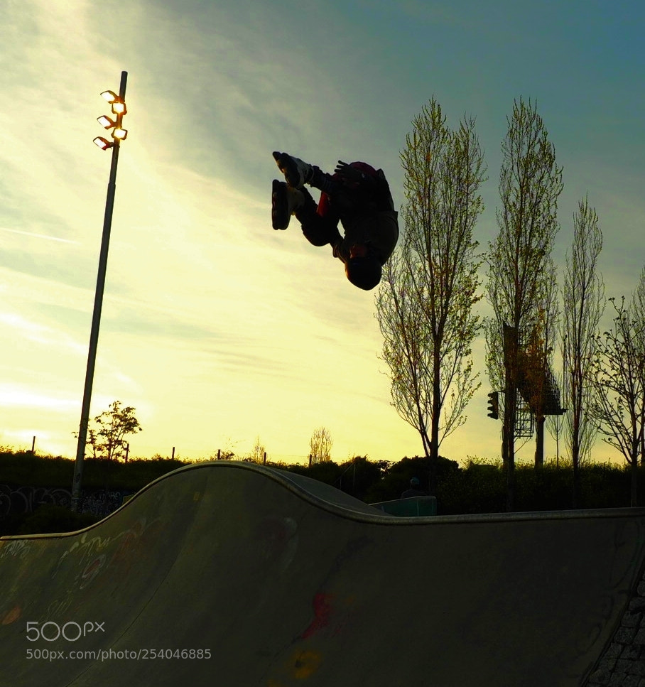 Olympus OM-D E-M1 sample photo. En el aire photography