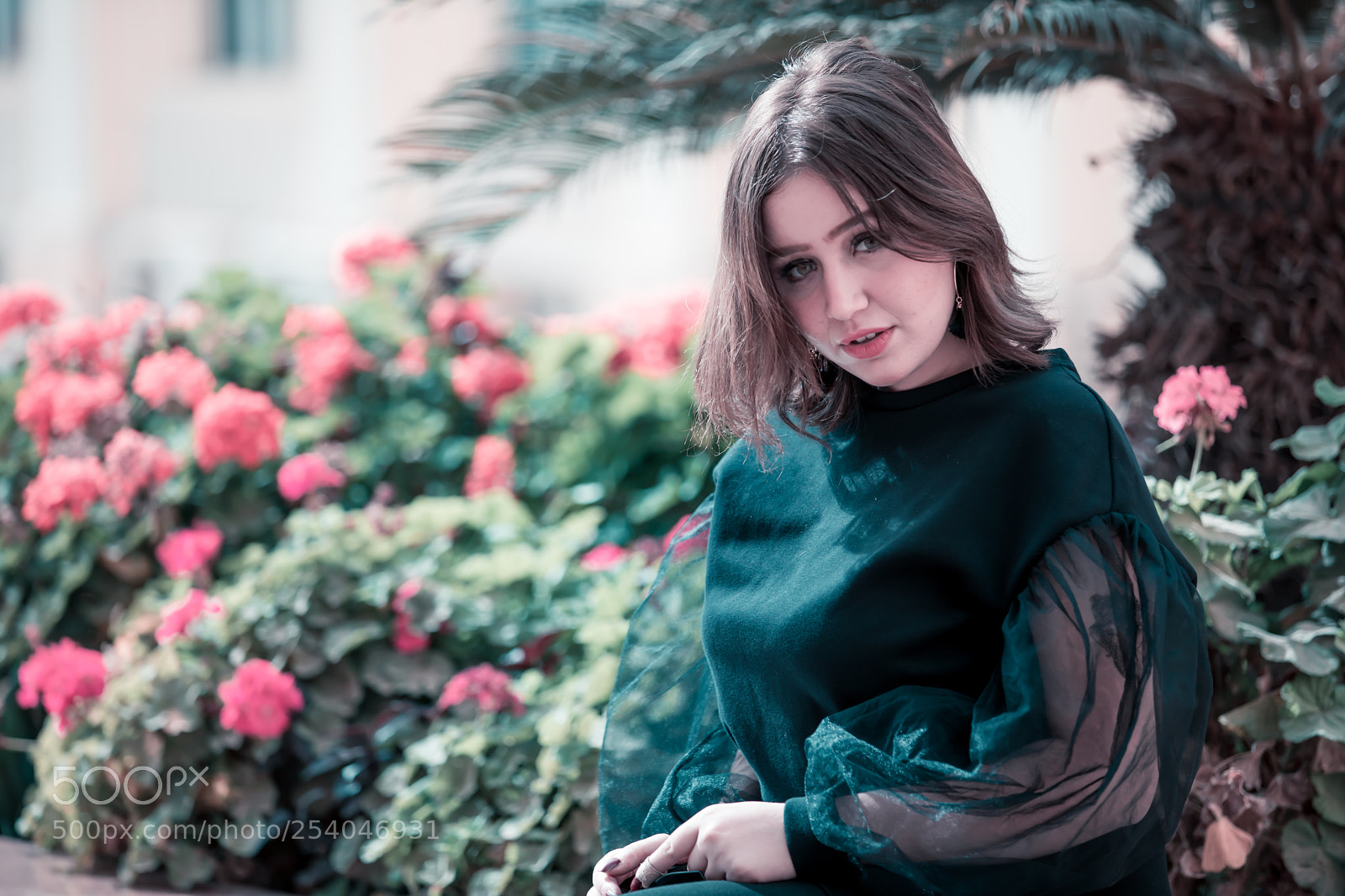 Canon EOS 5D Mark IV sample photo. Blooming photography