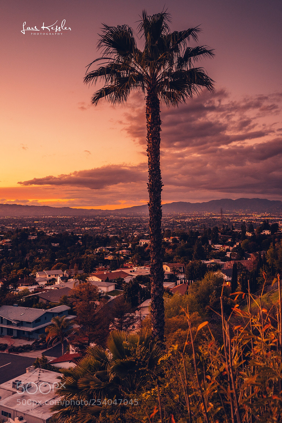 Sony a7 II sample photo. Mulholland drive  photography