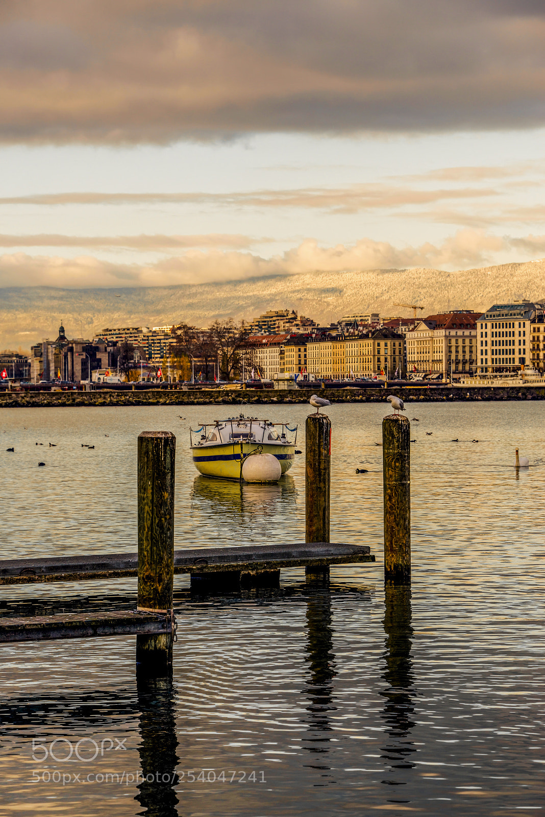 Nikon D800 sample photo. Winter morning photography