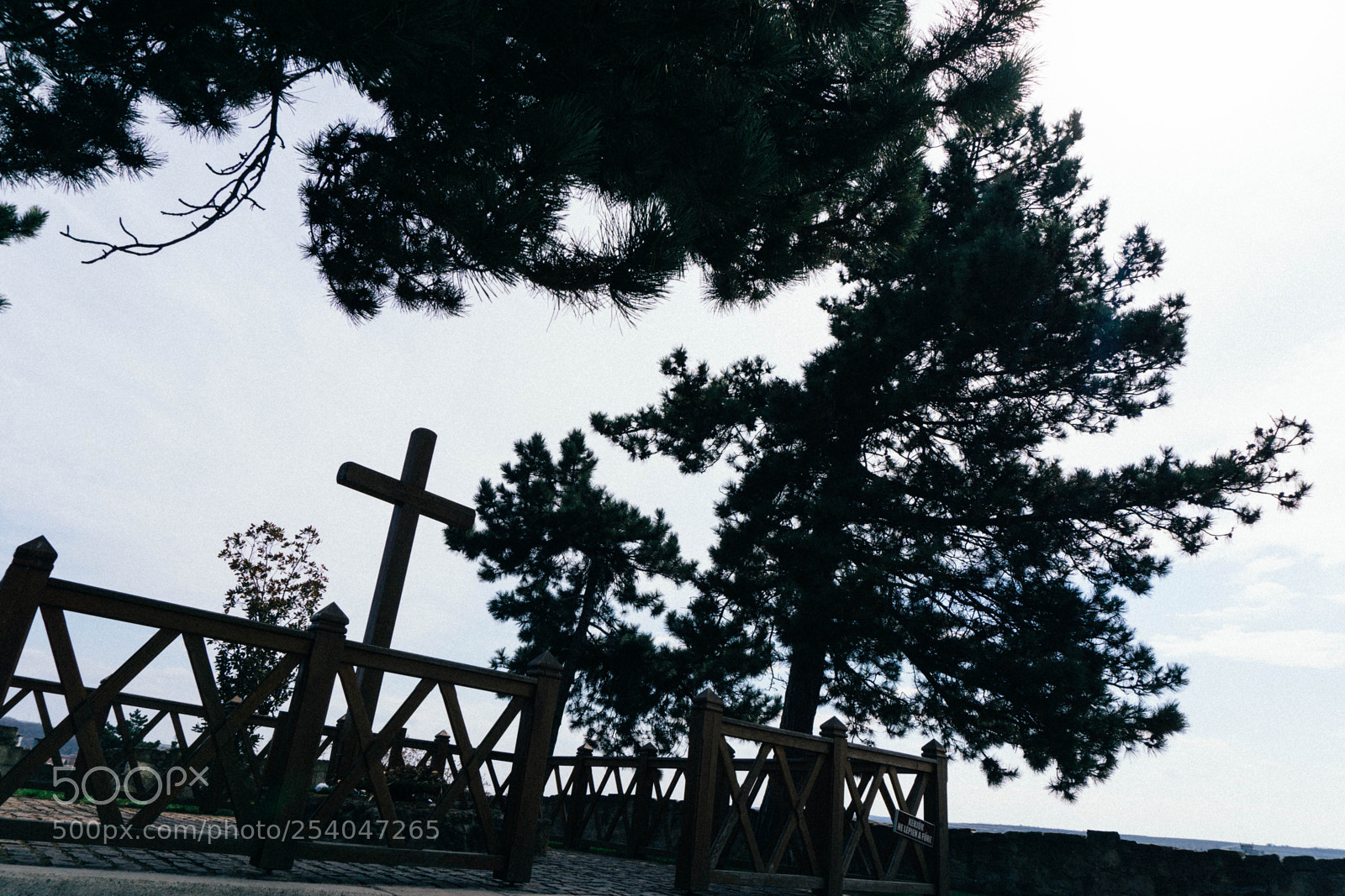 Sony a6000 sample photo. Dsc photography