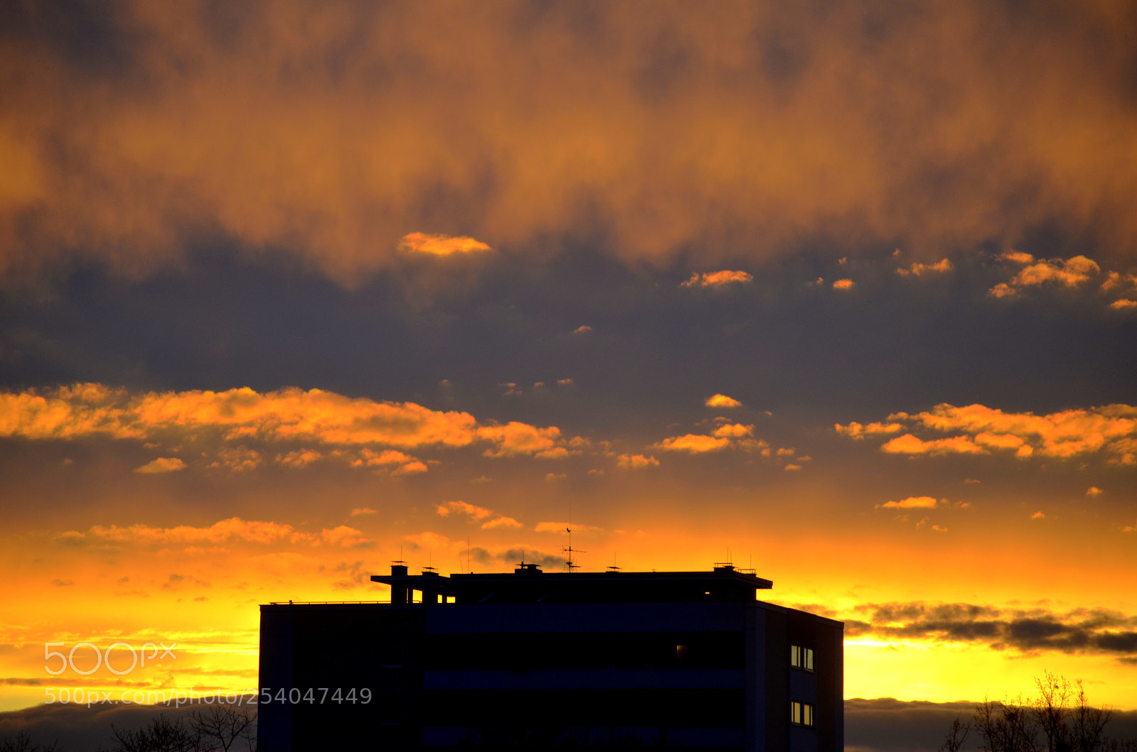 Nikon D5100 sample photo. Orange sky photography