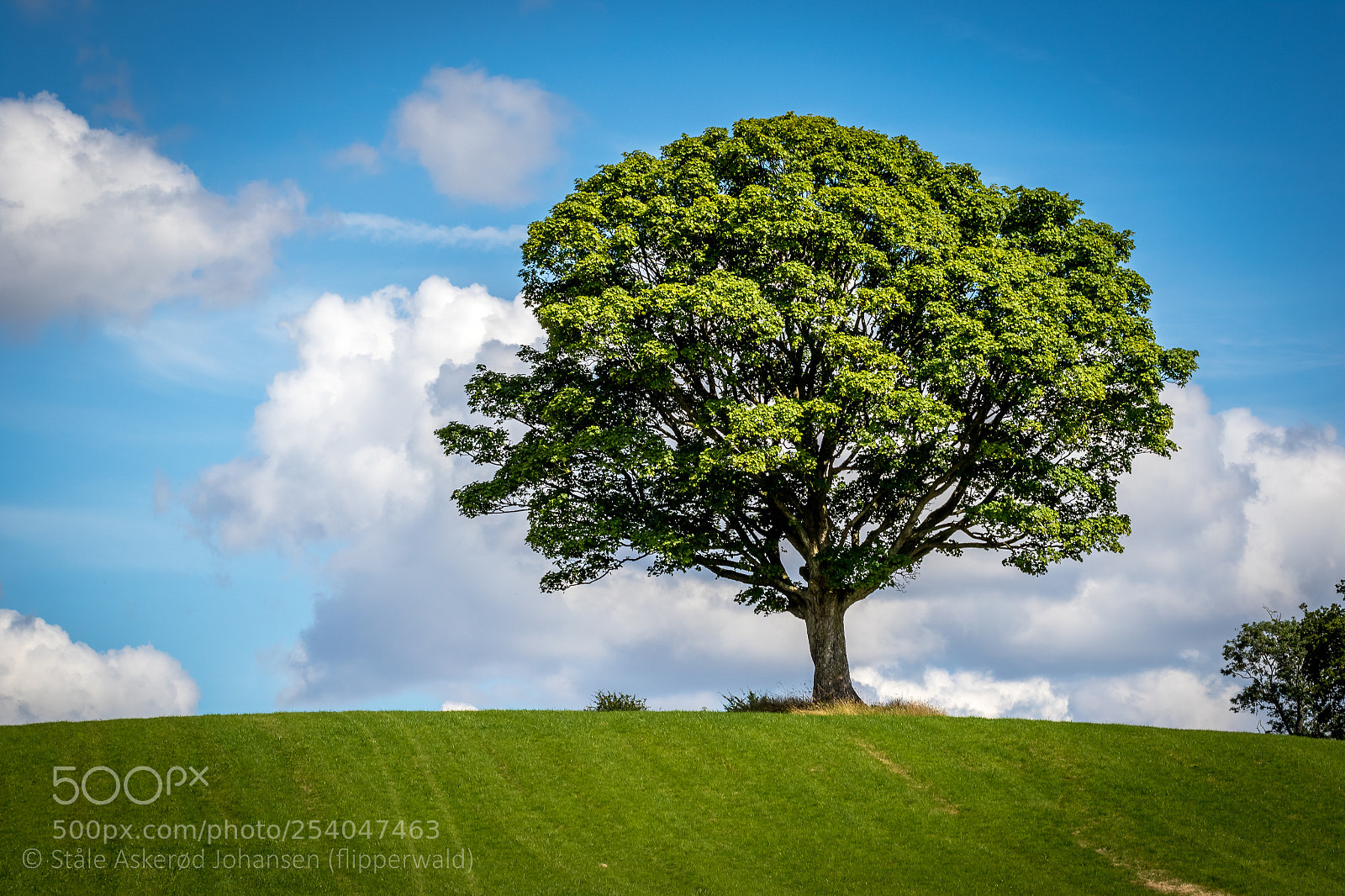 Canon EOS 7D Mark II sample photo. Ent photography