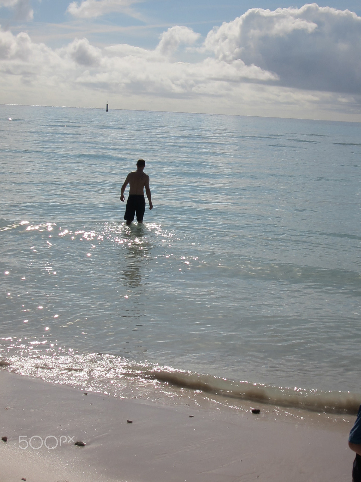 Canon PowerShot ELPH 500 HS (IXUS 310 HS / IXY 31S) sample photo. I got this! photography