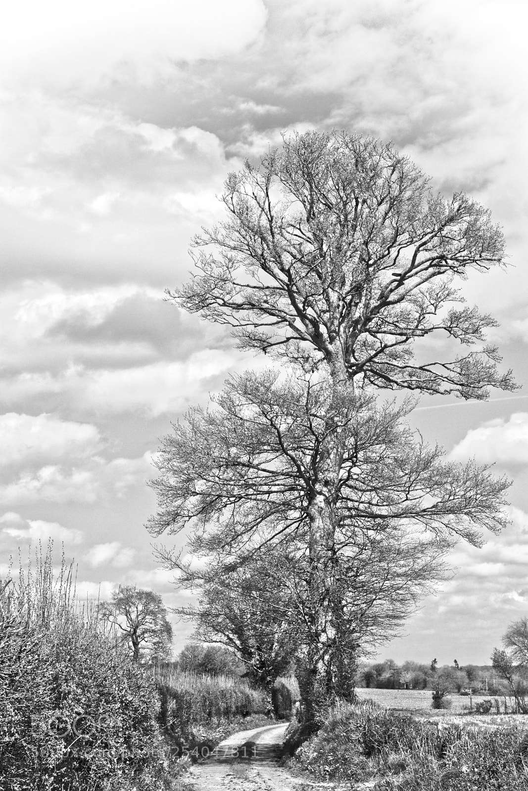 Canon EOS 80D sample photo. Bocage du cotentin photography